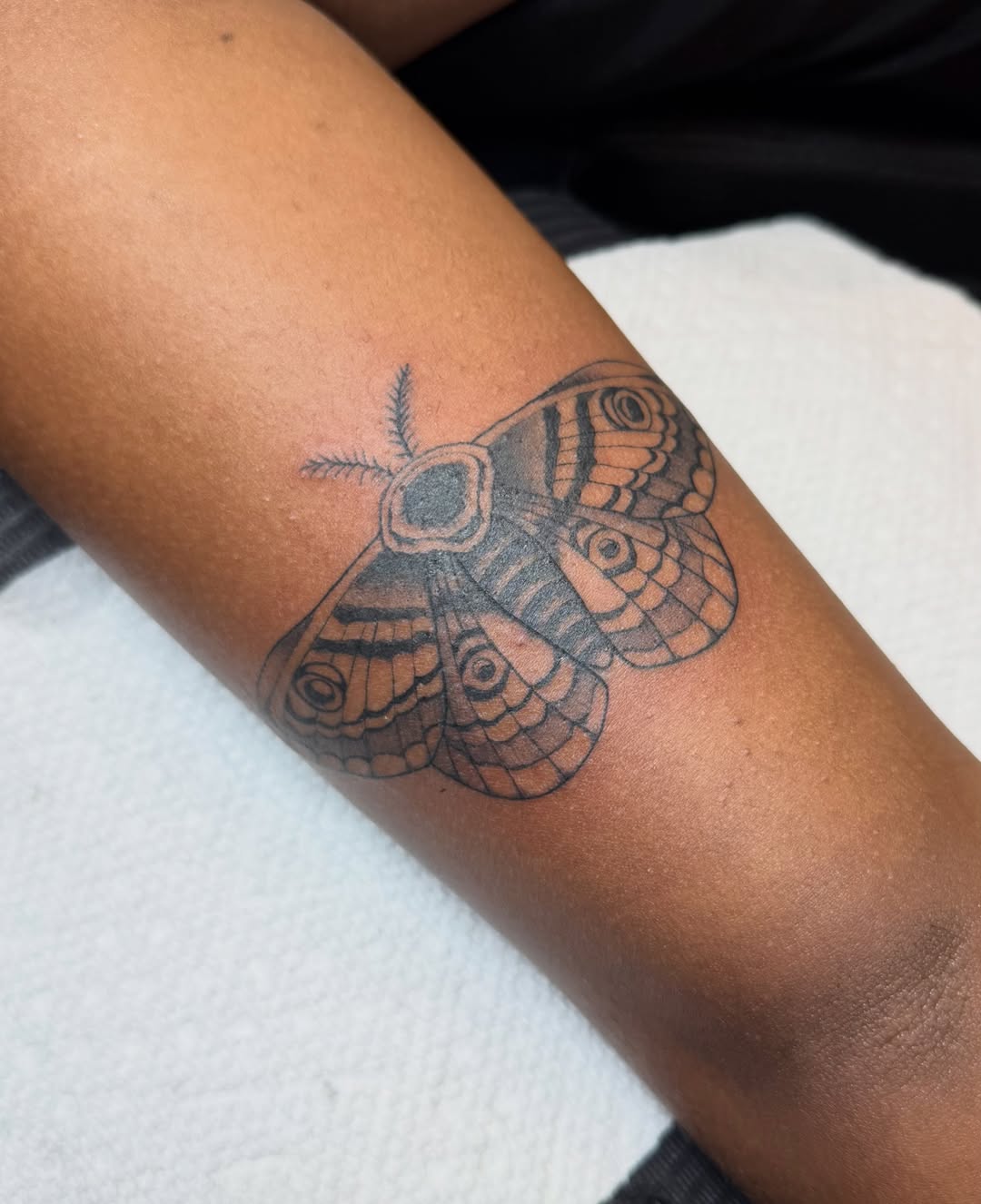 Butterfly black and grey tattoo on the forearm by Bri ⚡️✨