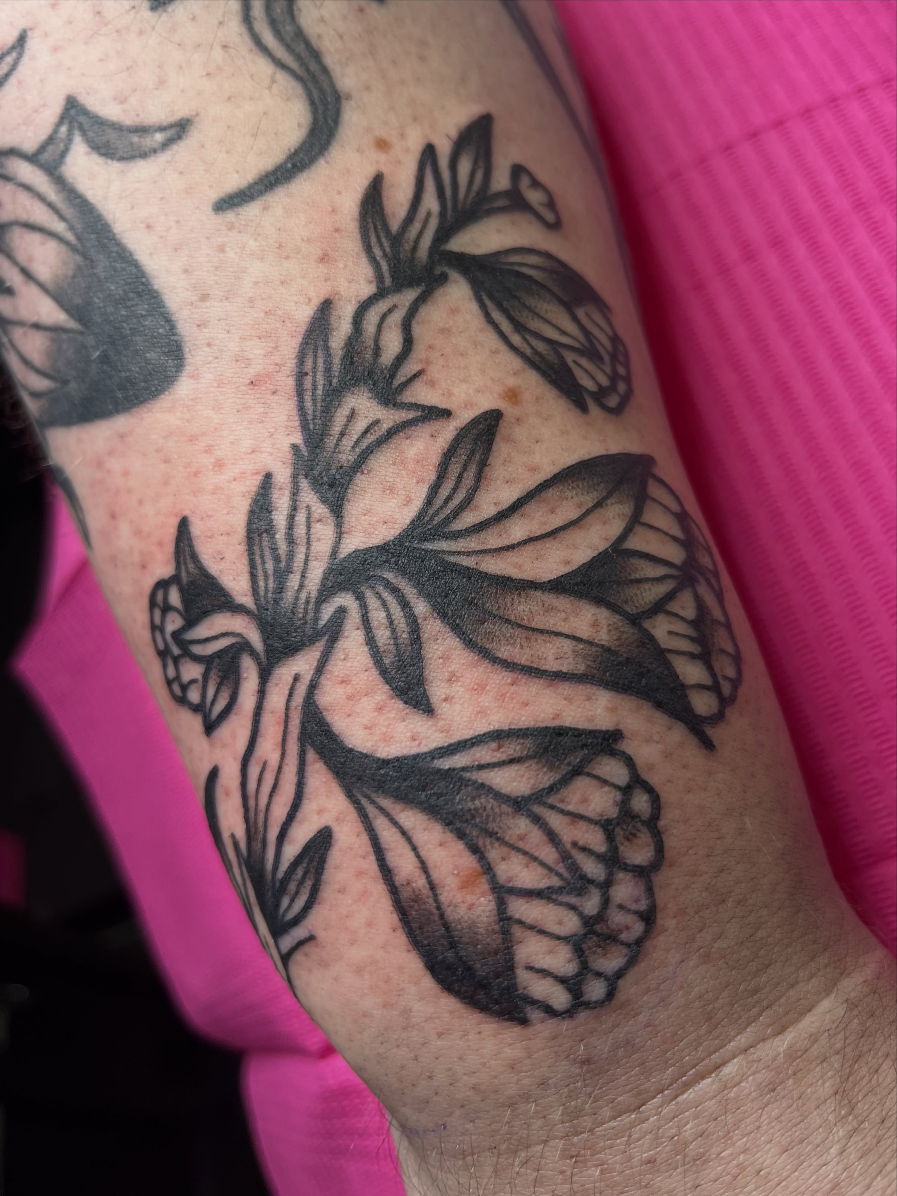 Monarch butterfly black and grey tattoo on the forearm by Cincinnati Tattoo Artist, Cincinnati
