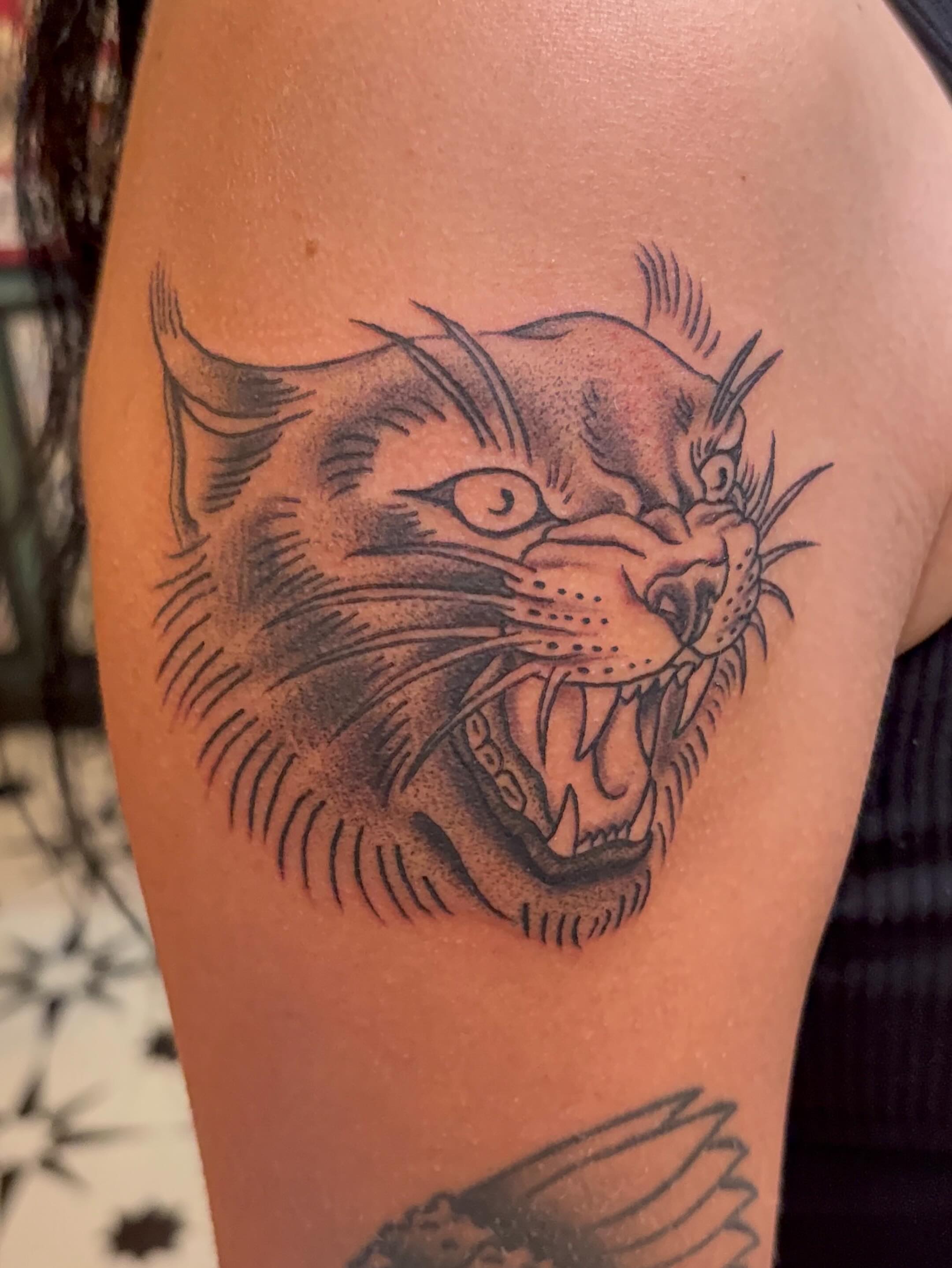 Roaring cat black and grey tattoo on the forearm by ☻︎ Cyd Precious ☹︎