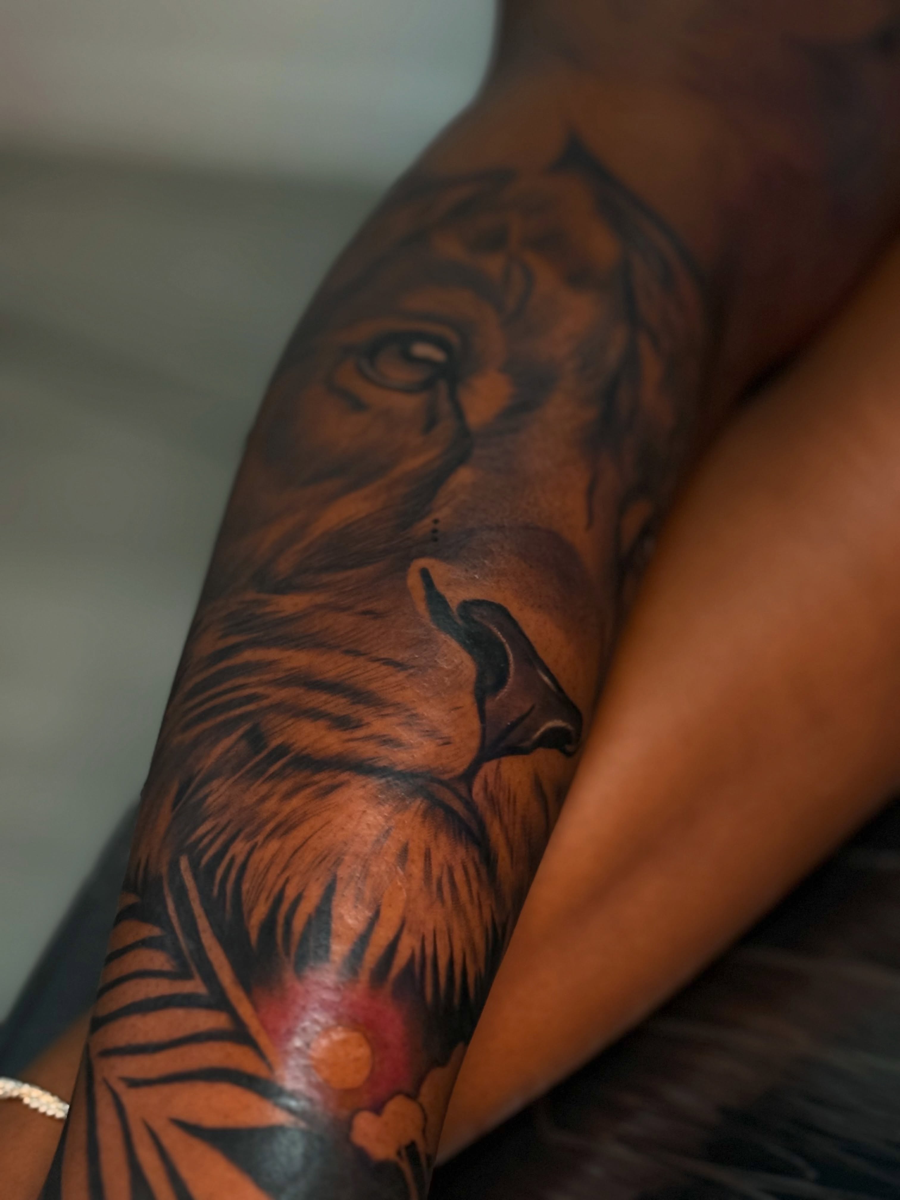 Lion realism tattoo on the forearm by Savannah Tattoo Artist