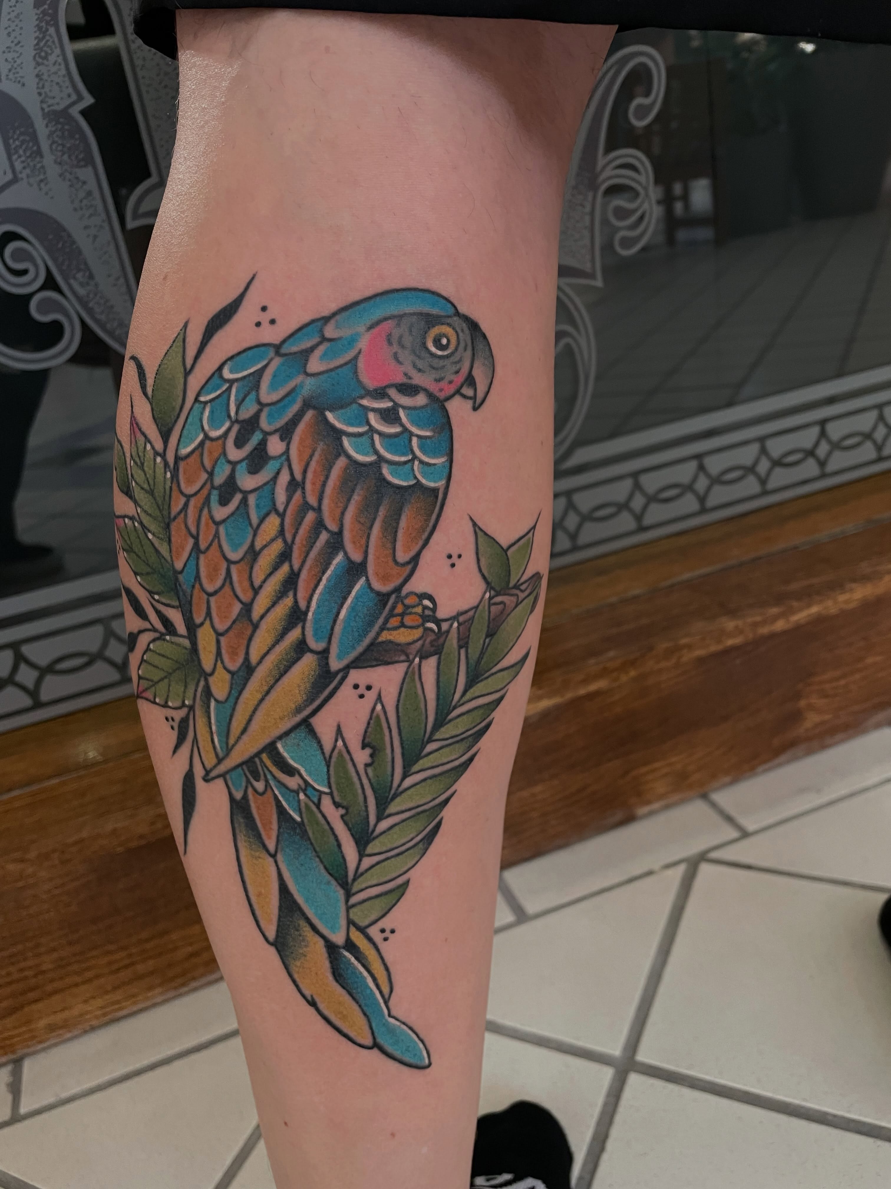 Parrot American traditional tattoo on the forearm by Dave Kruseman