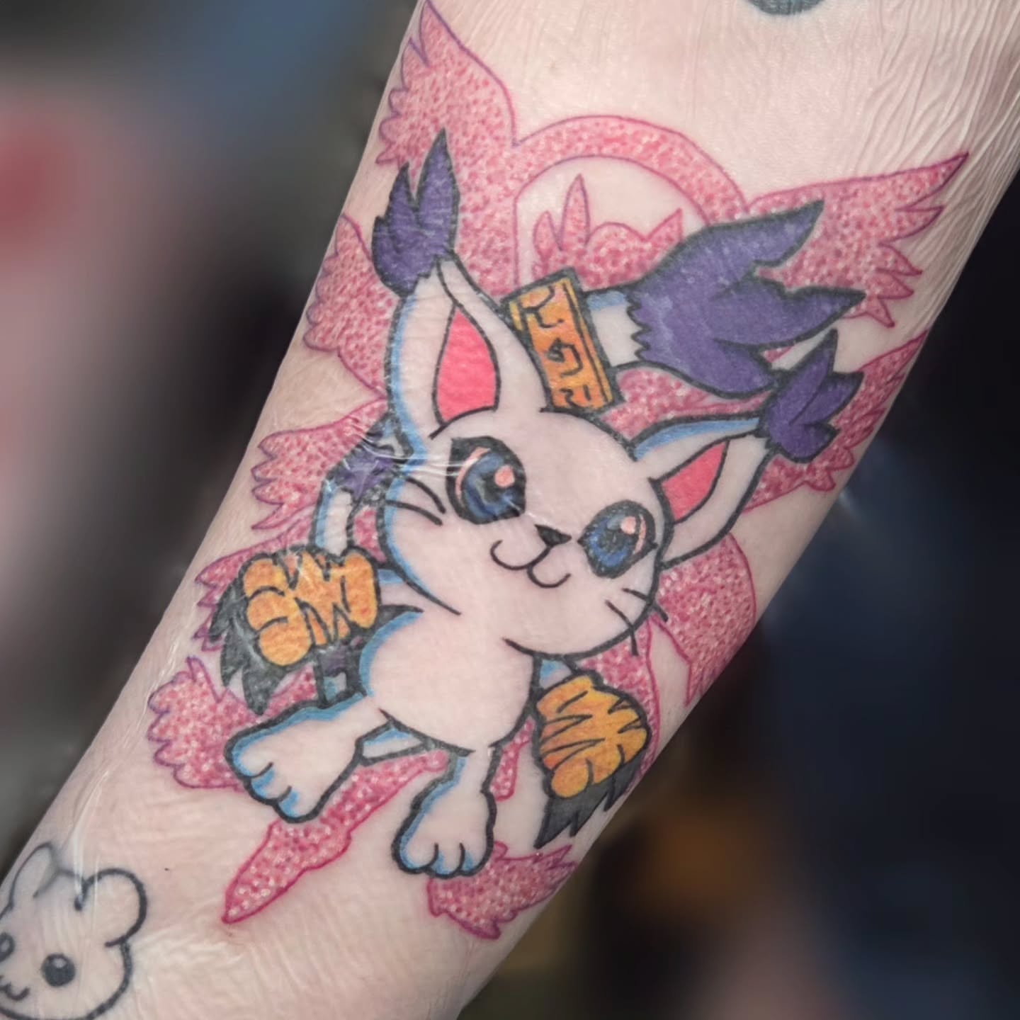 Cat American traditional tattoo on the forearm by Chaz Escobar