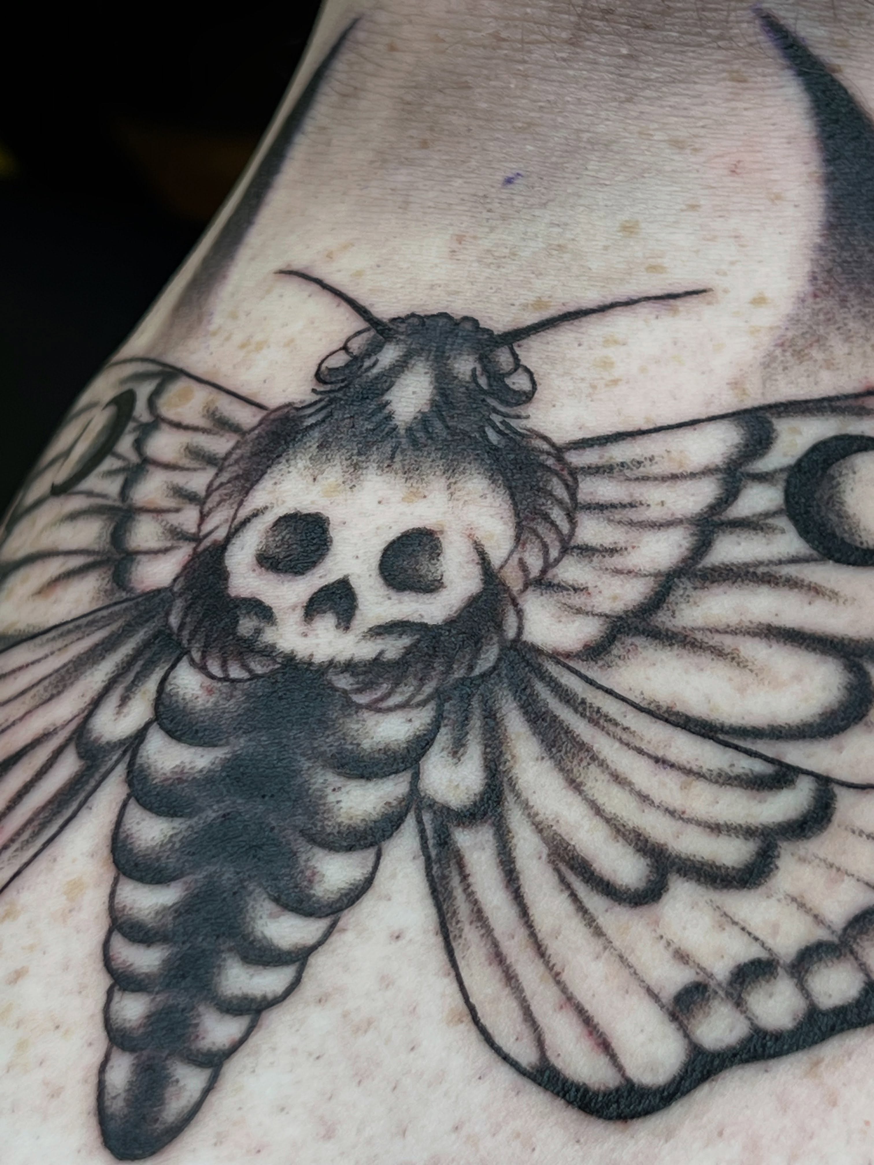 Moth with skull head black and grey tattoo on the shoulder by Cory Miller