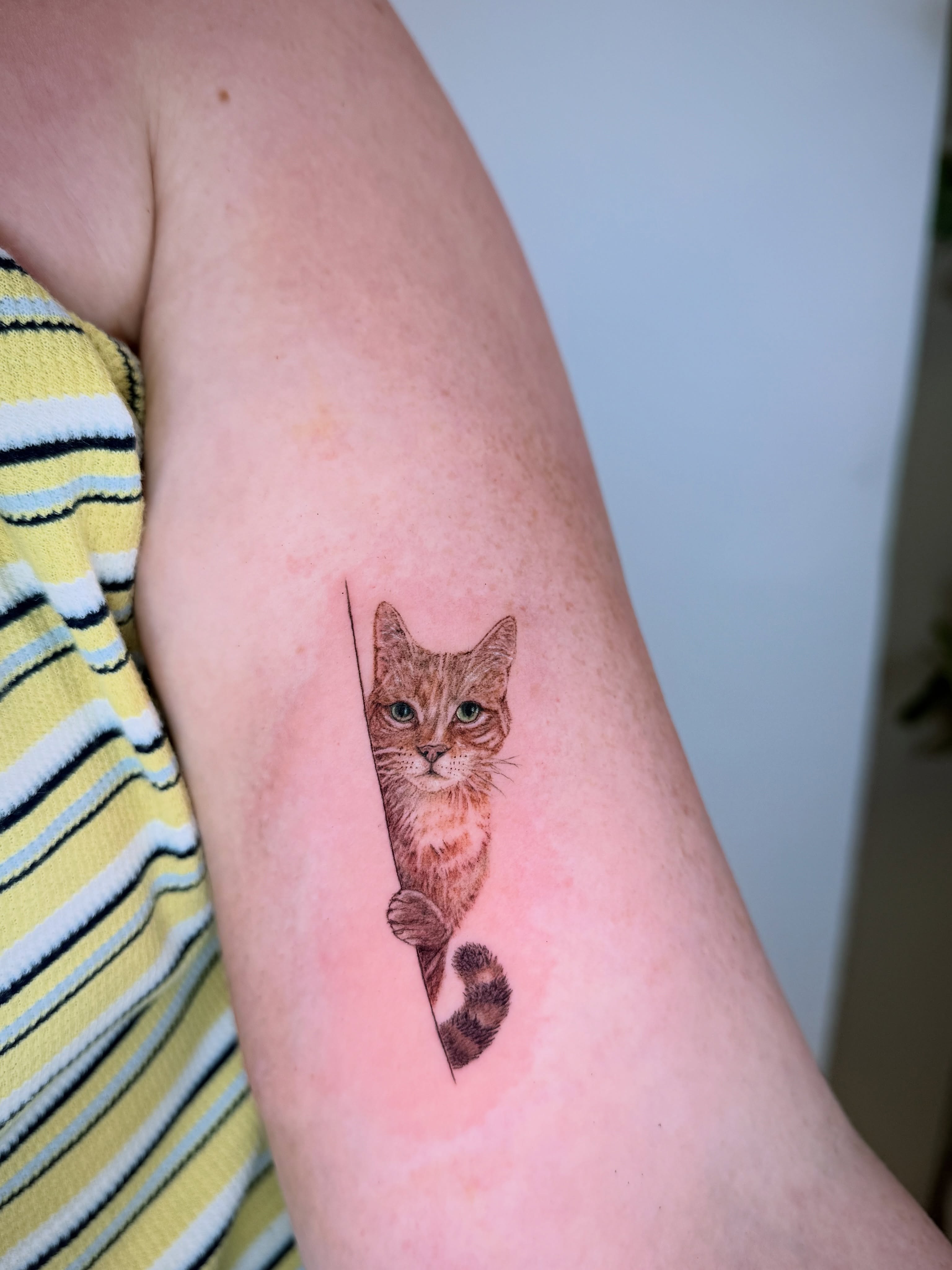 Cat realism tattoo on the forearm by Yuri Chloe Ngo Tattoo Artist