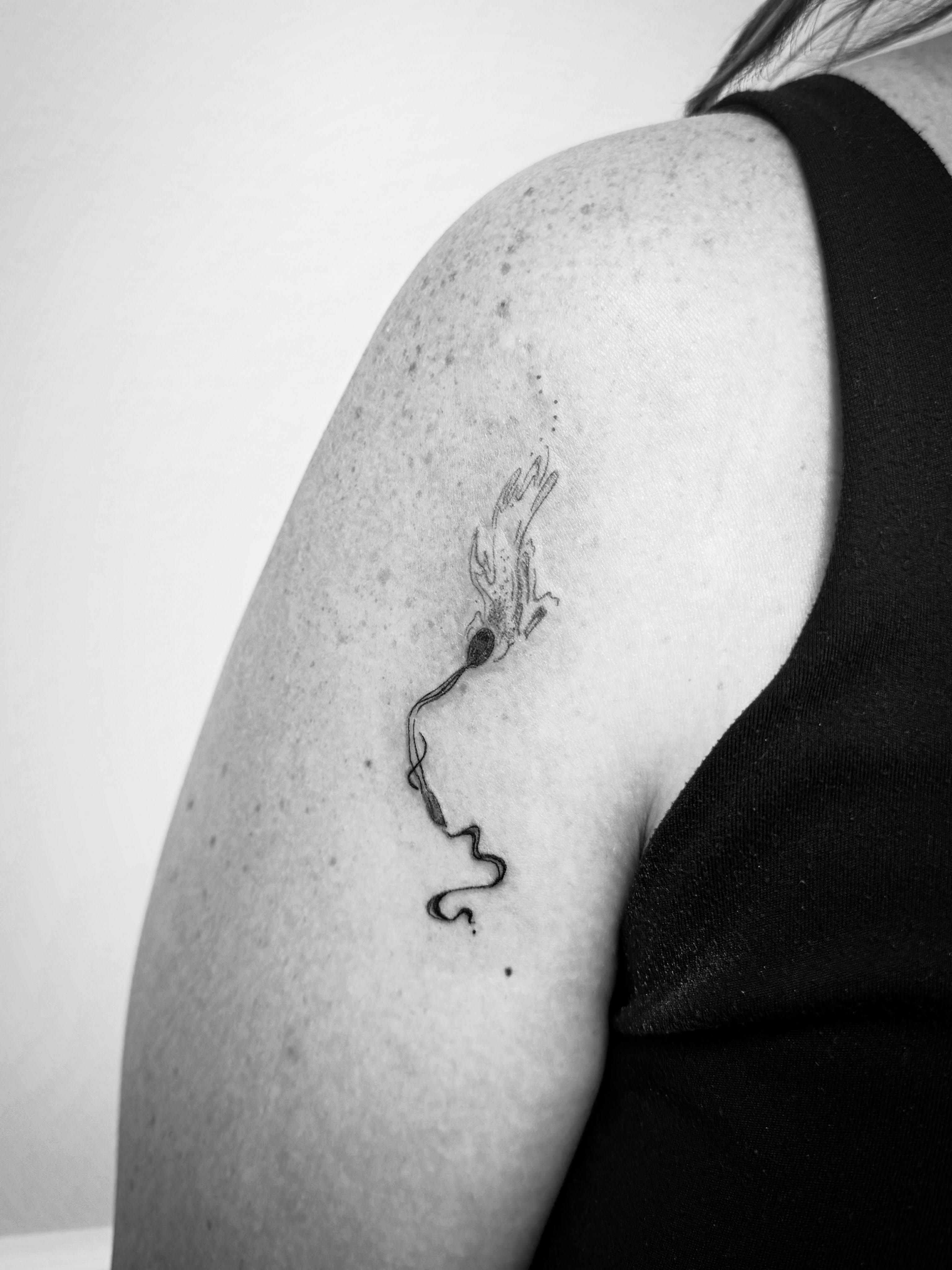Bird black and grey tattoo on the shoulder by Taylor Johnson