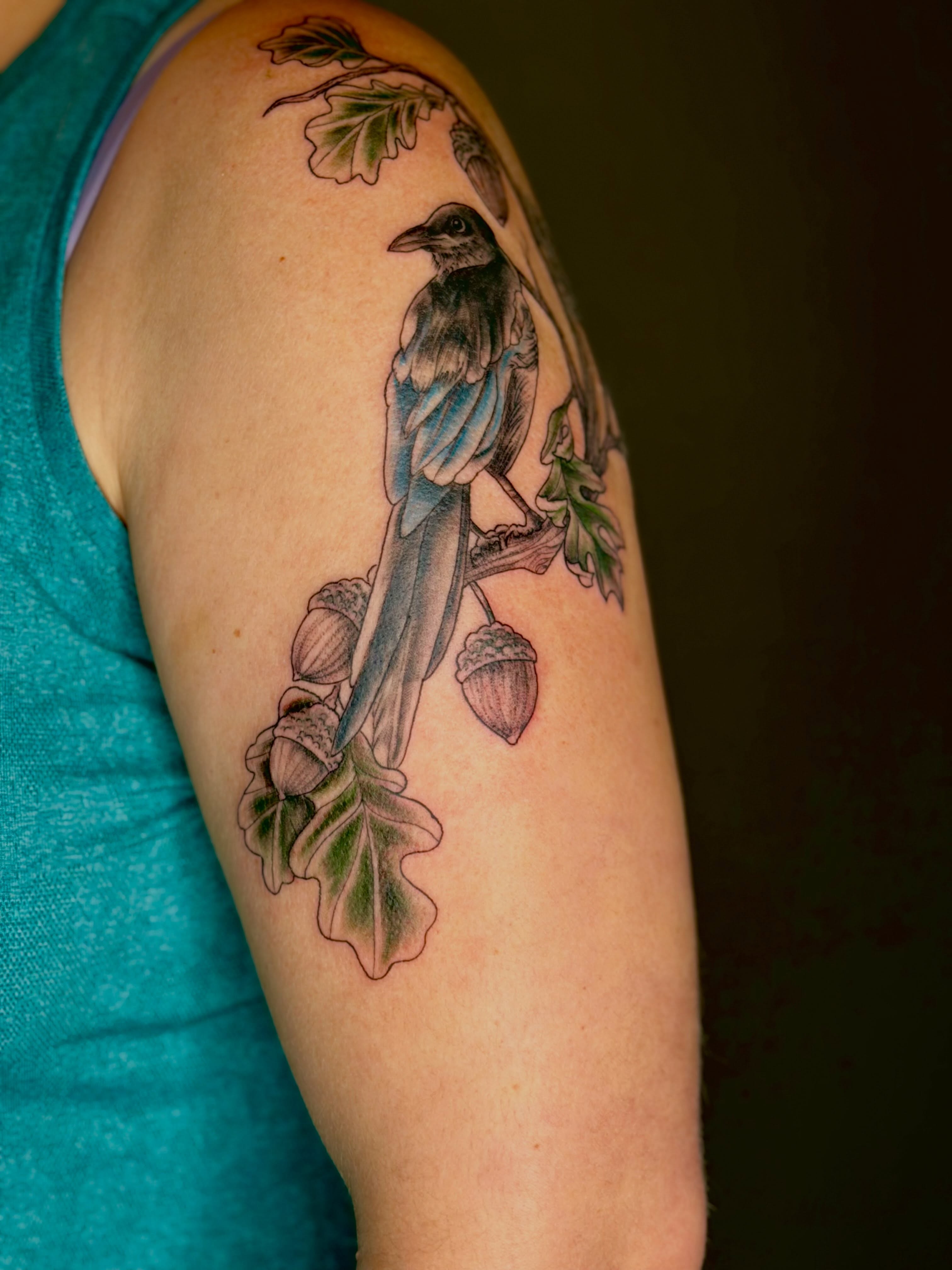Bird and acorns realism tattoo on the upper arm by ⋆༺⋆˖⁺‧₊  ☽  ⛦⃝  ☾  ₊‧⁺˖⋆༻⋆𝔄𝔩𝔬𝔫𝔡𝔯𝔞  🌾