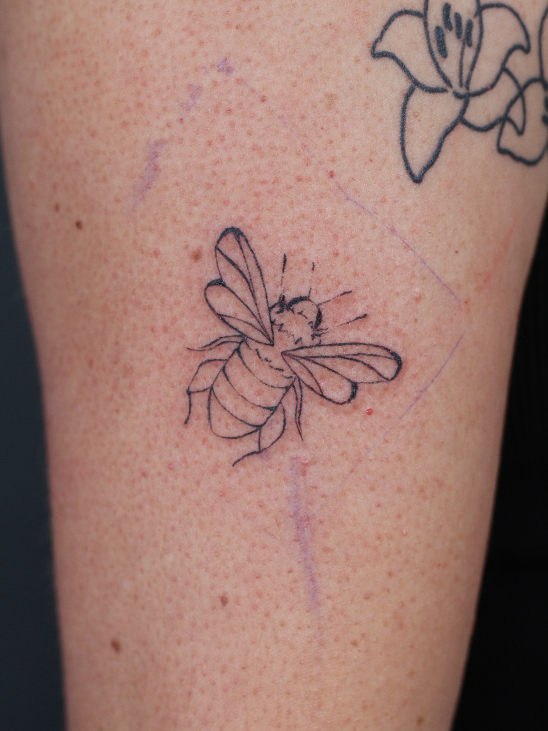 Tattoo by @stephsta2s — black_and_grey