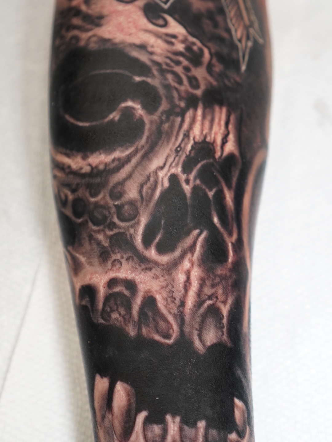 Skull realism tattoo on the forearm by Akos Strenner