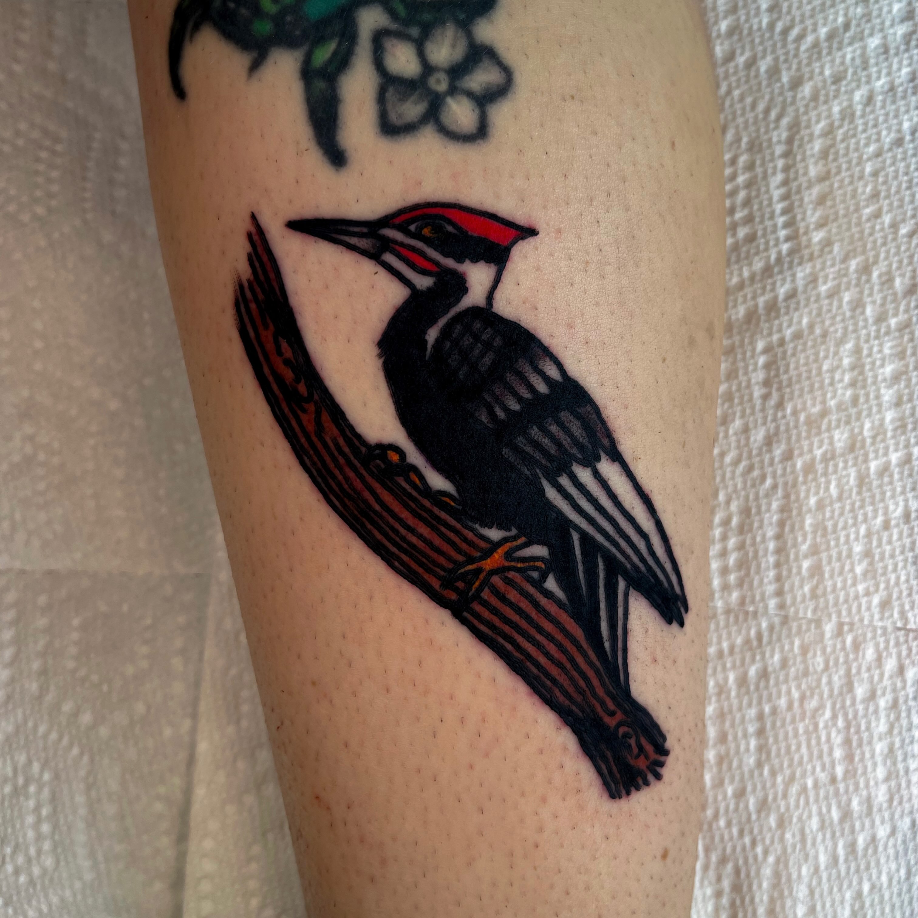 Woodpecker American traditional tattoo on the forearm by Devyn Hightower