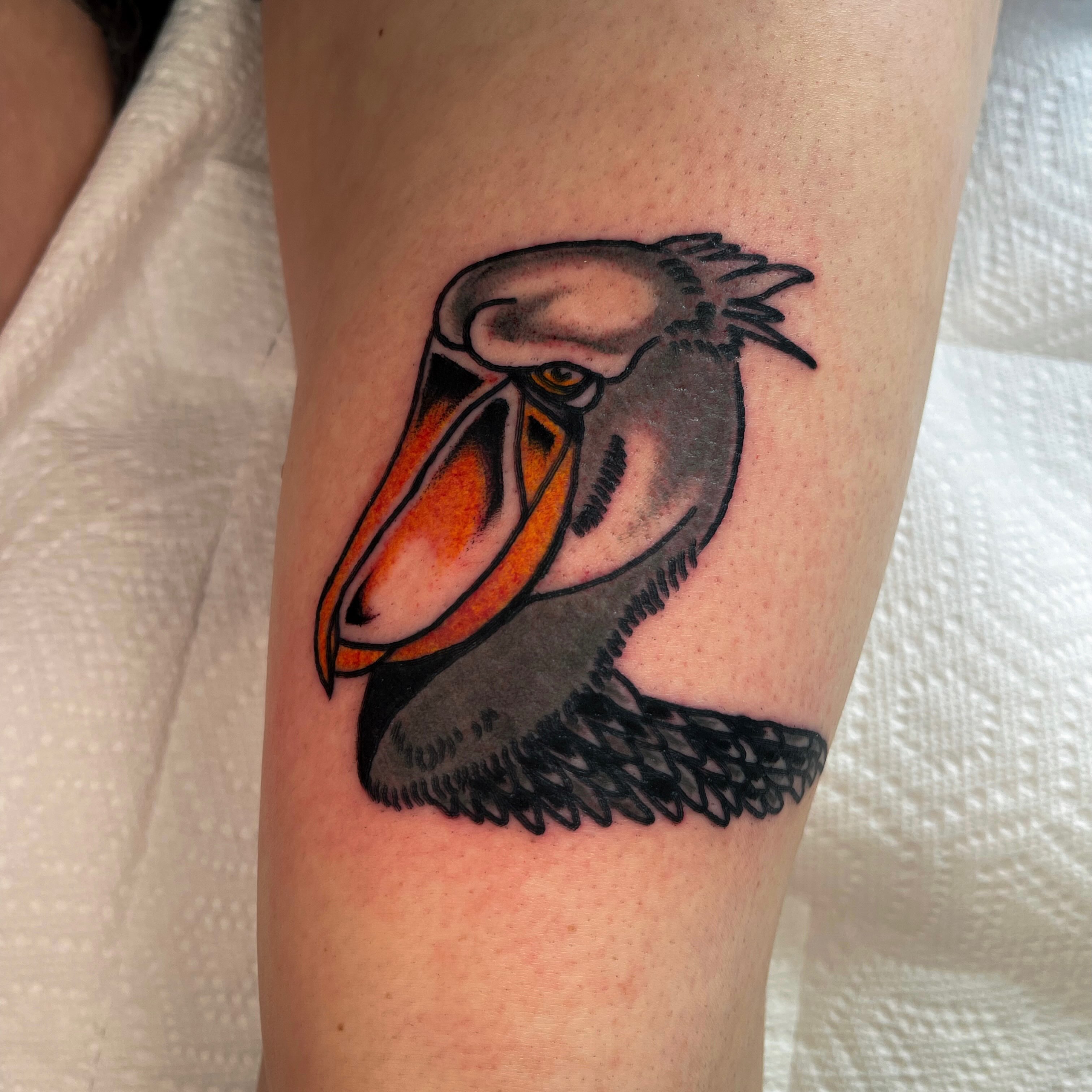 Pelican realism tattoo on the forearm by Devyn Hightower