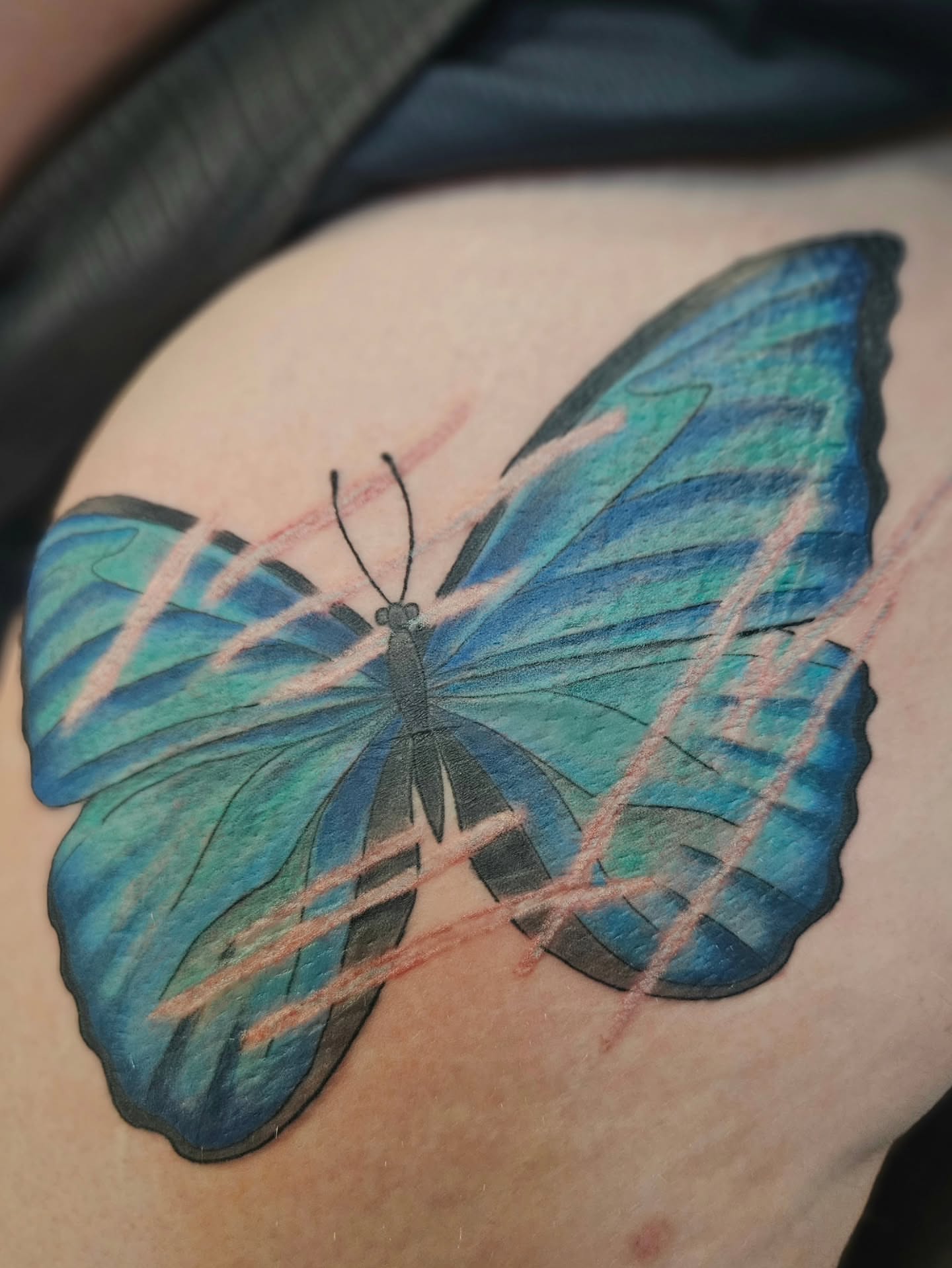 Blue butterfly realism tattoo on the thigh by πΎπππππ πΎπππππ