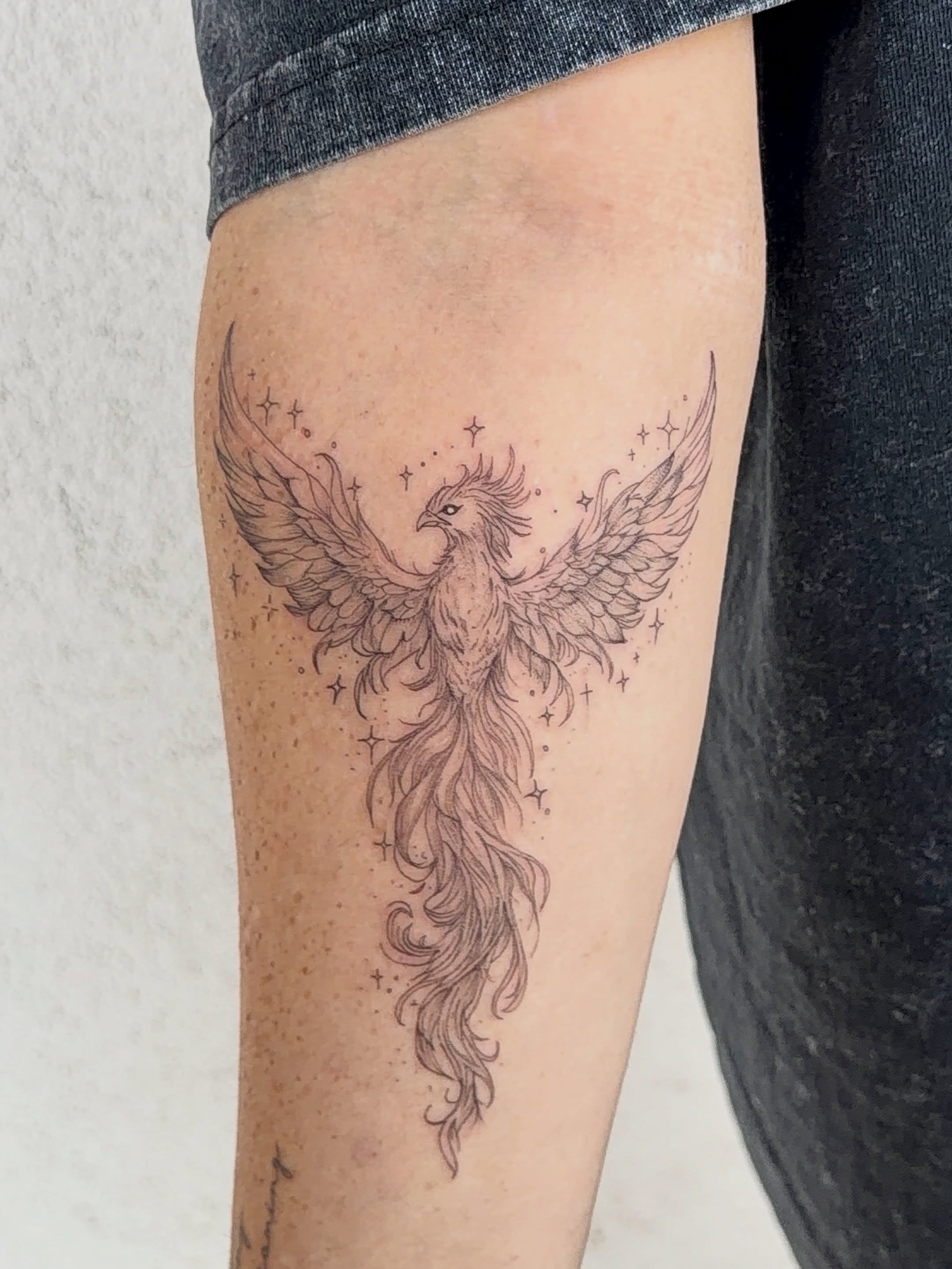 Phoenix dotwork tattoo on the thigh by Jacksyn, Plano, Texas