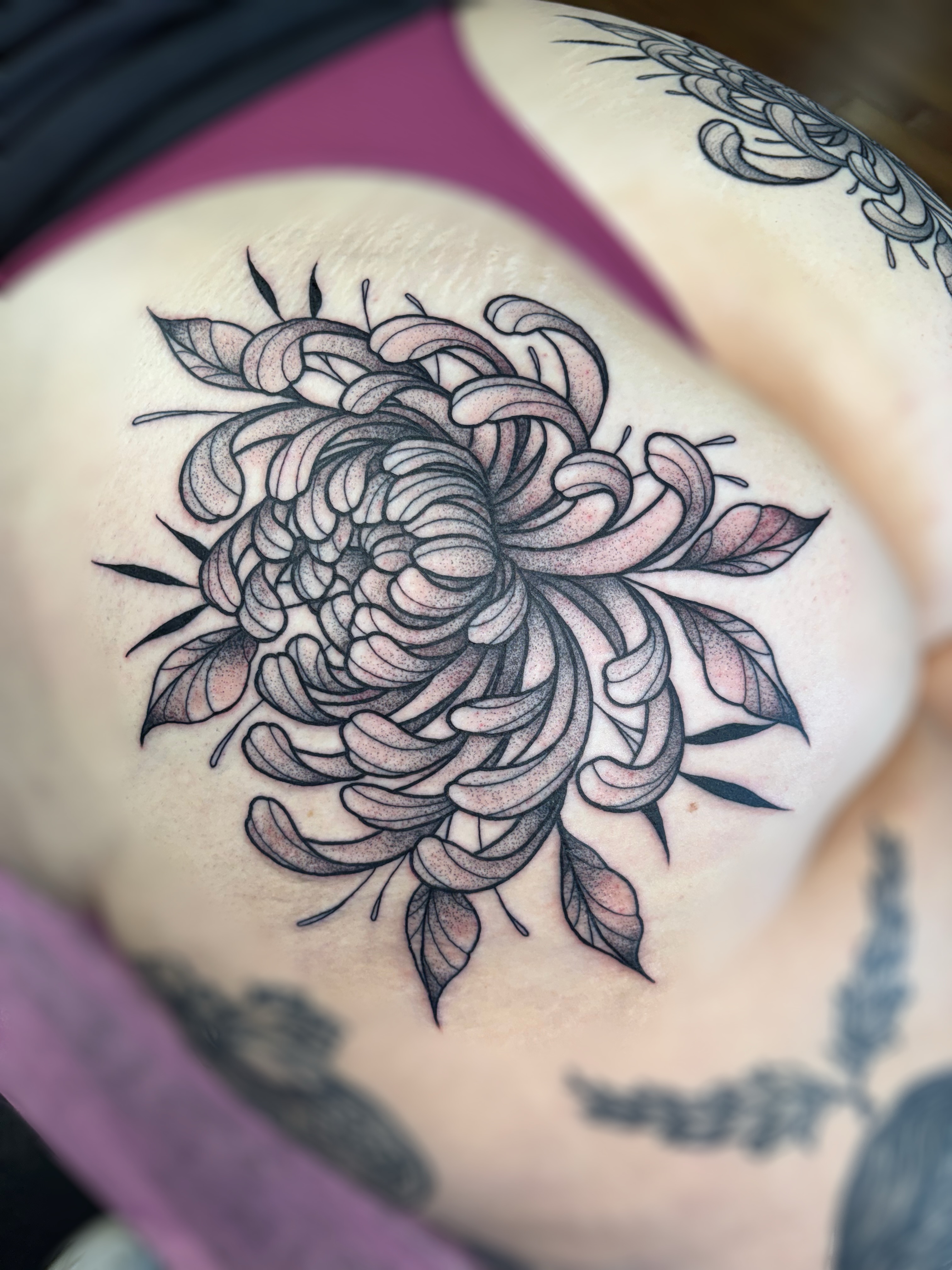 Chrysanthemum dotwork tattoo on the ribs by ✿ sadie winter ✿