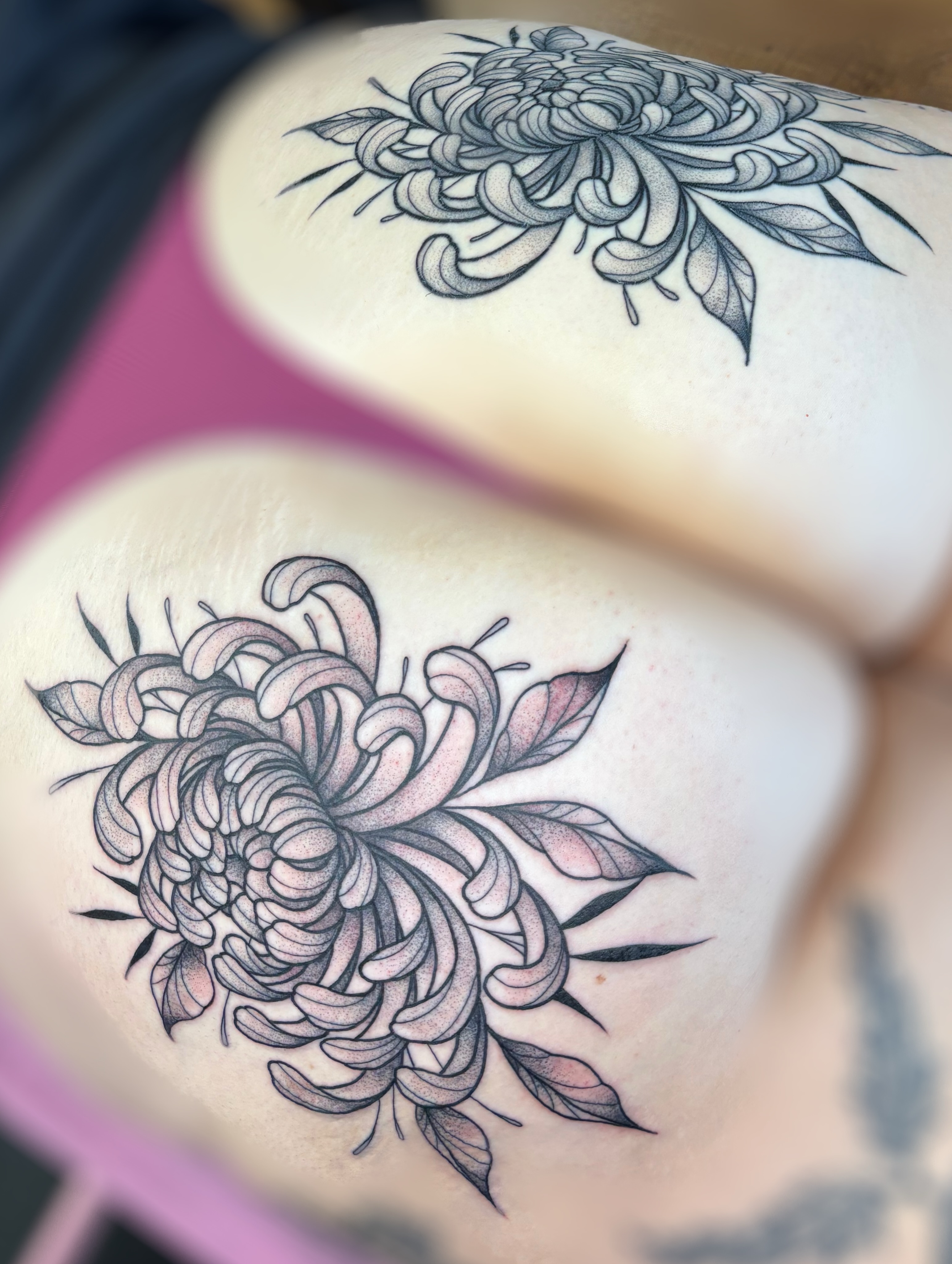 Chrysanthemum black and grey tattoo on the chest by ✿ sadie winter ✿