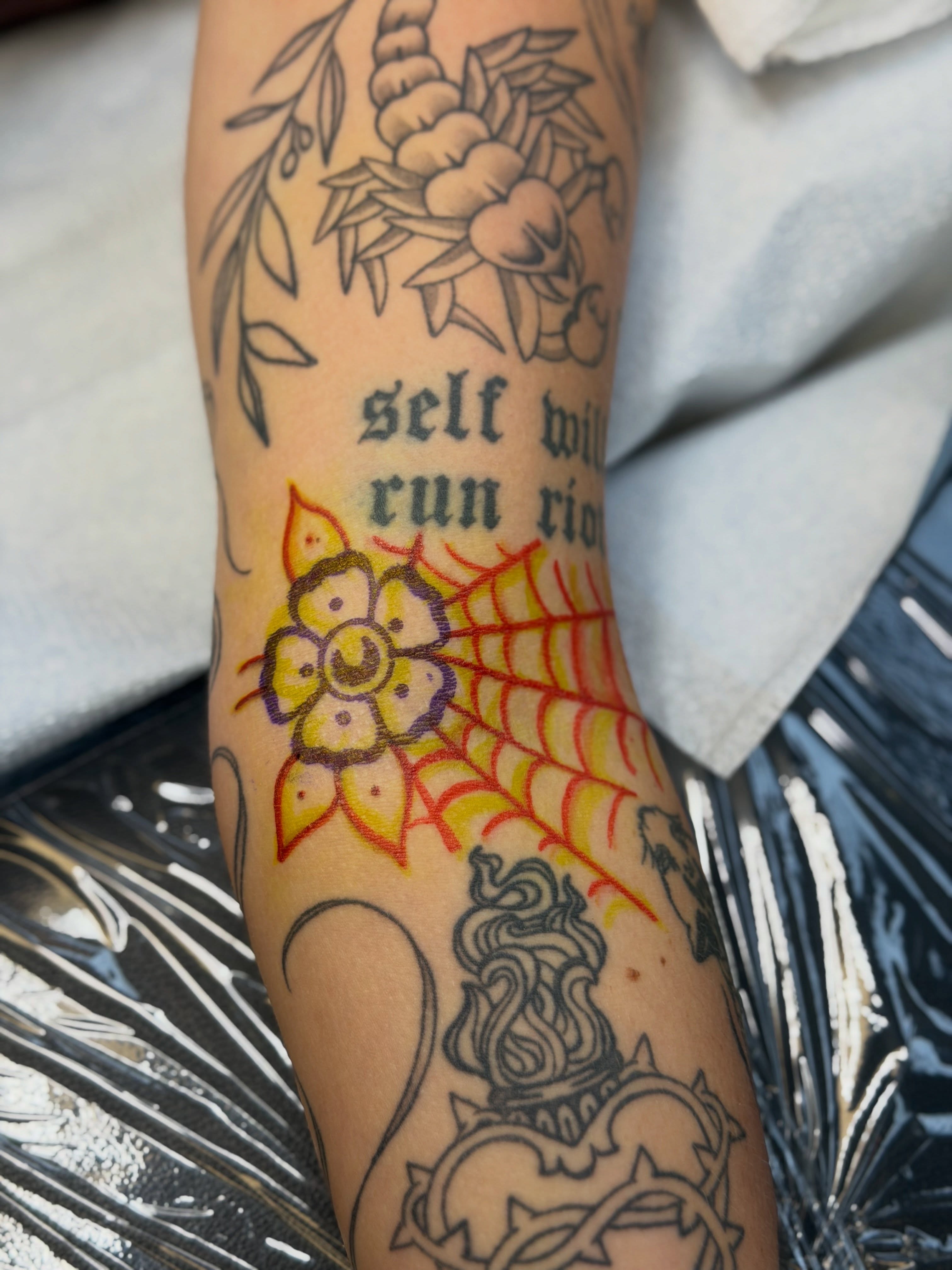 Flower and spider web American traditional tattoo on the forearm by Kailey Ru, Knoxville, Tennessee