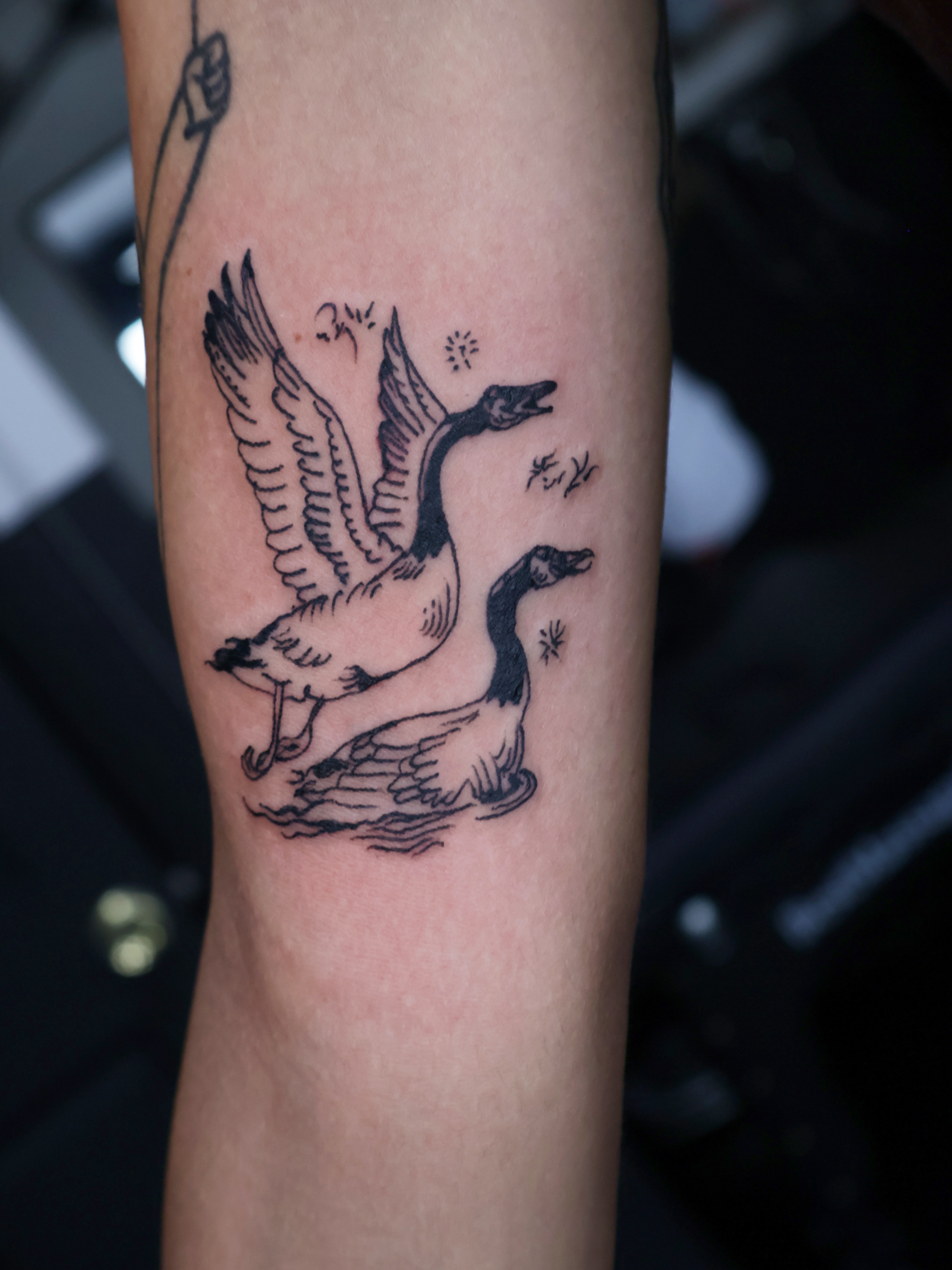 Ducks American traditional tattoo on the forearm by Denis Du Preez, East Williamsburg, Brooklyn