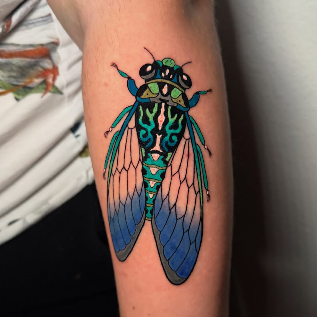 Cicada new school tattoo on the forearm by Tess