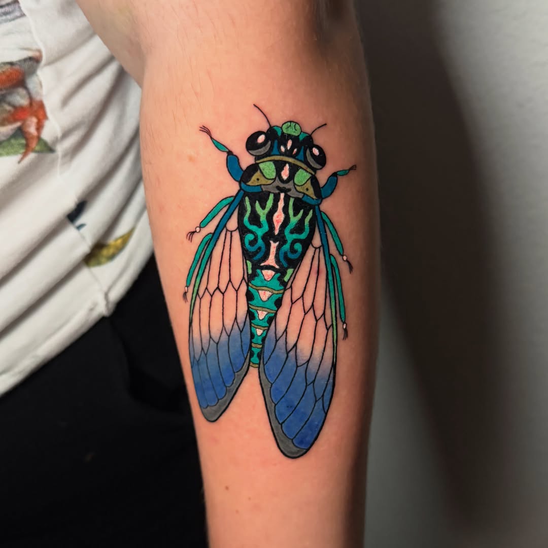 Cicada realism tattoo on the forearm by Tess