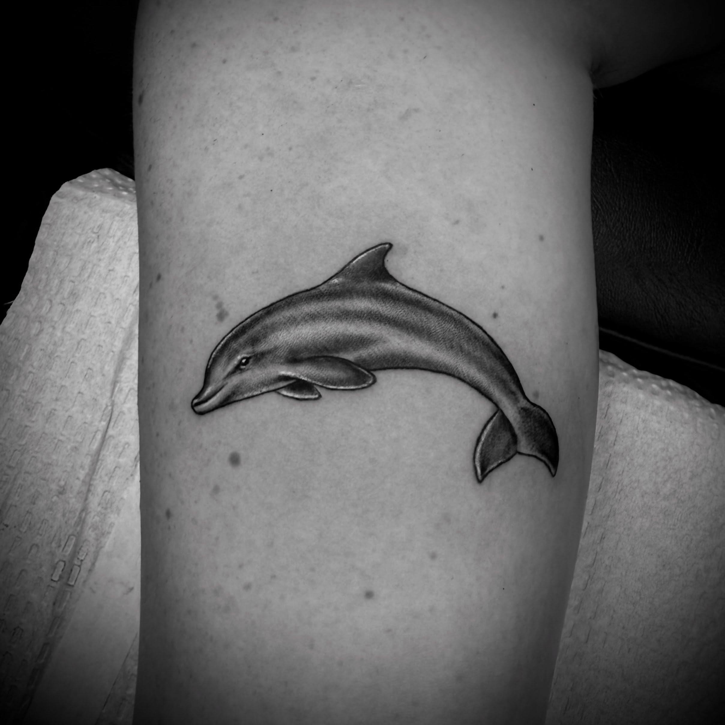 Dolphin realism tattoo on the forearm by Jameson William Cowan