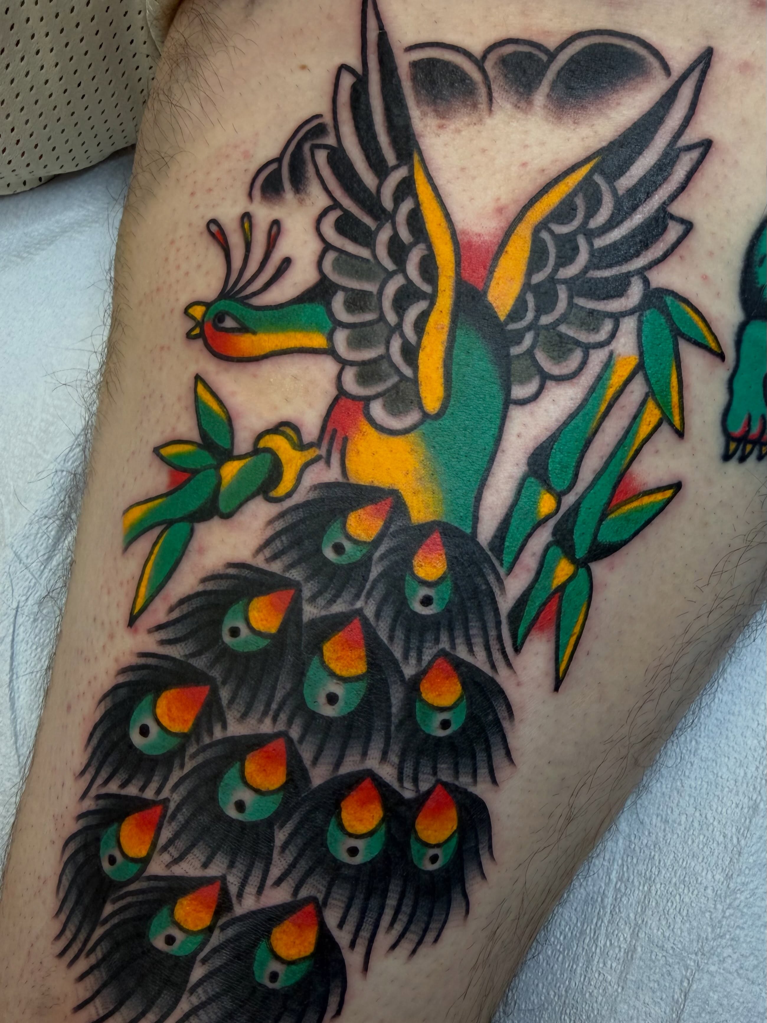 Peacock American traditional tattoo on the forearm by Hannah Jean
