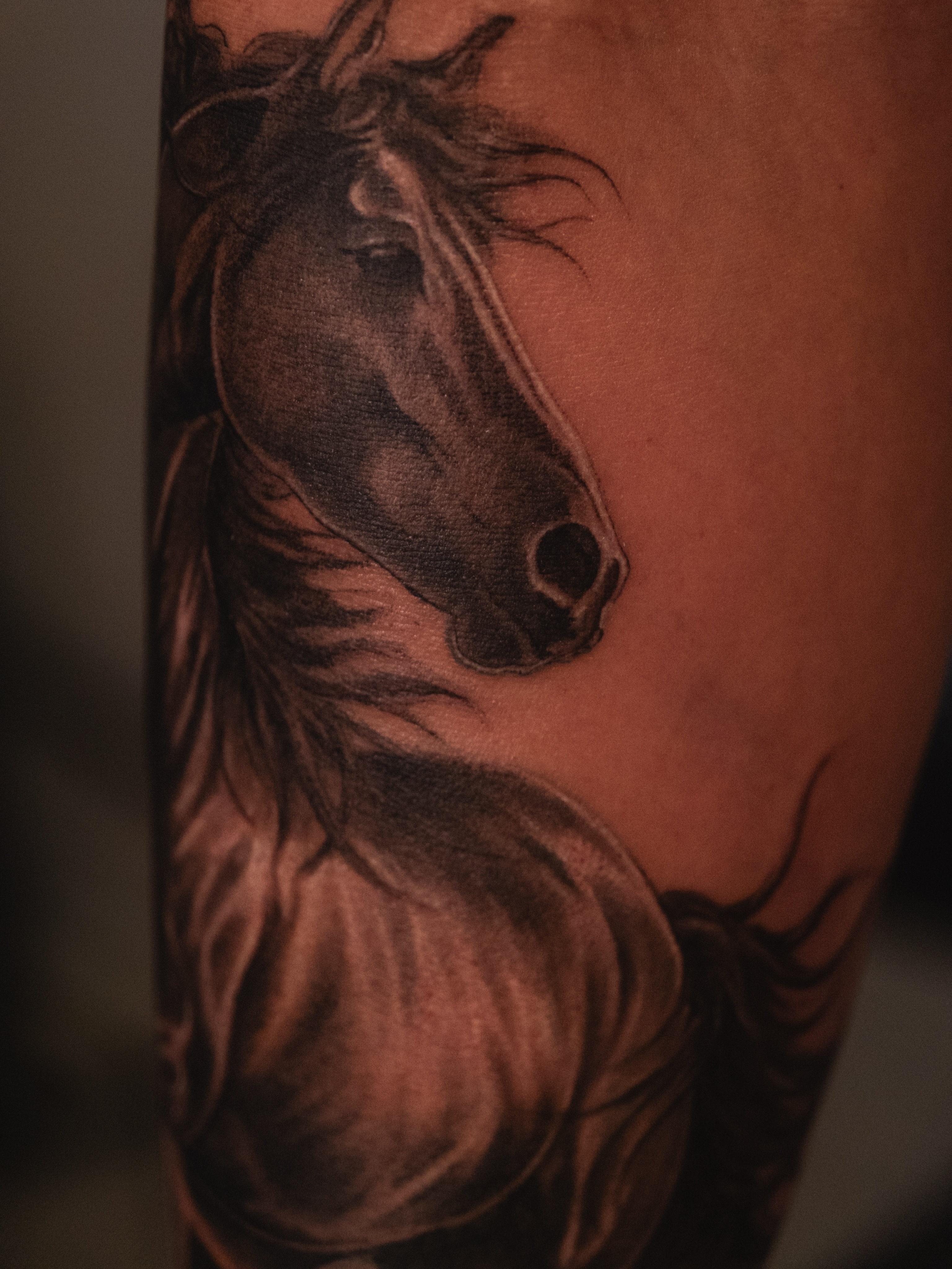 Horse realism tattoo on the forearm by Ray_thefox tattoo
