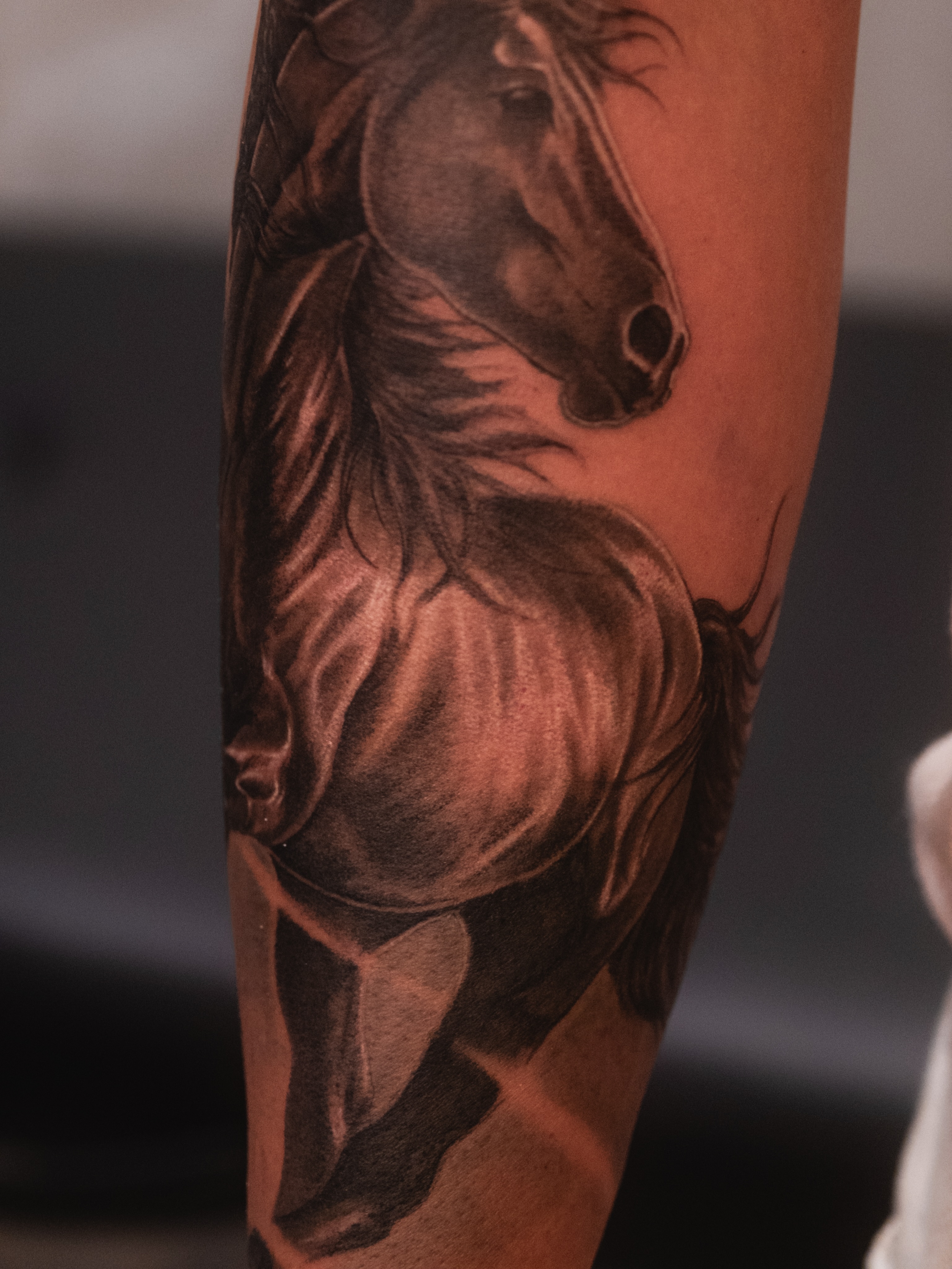 Galloping horse realism tattoo on the forearm by Ray_thefox tattoo