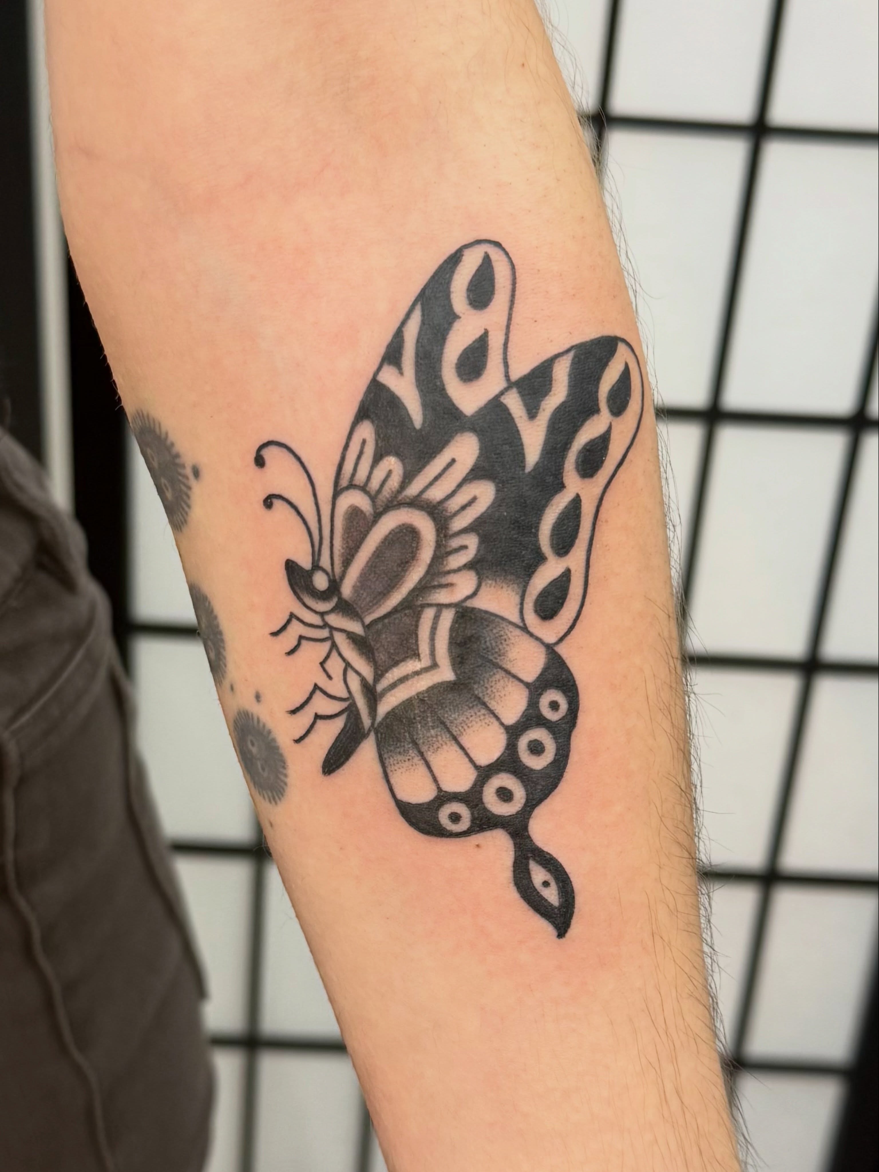 Butterfly American traditional tattoo on the forearm by JARED Boston Tattooer: Traditional, Fine, Boston, Massachusetts