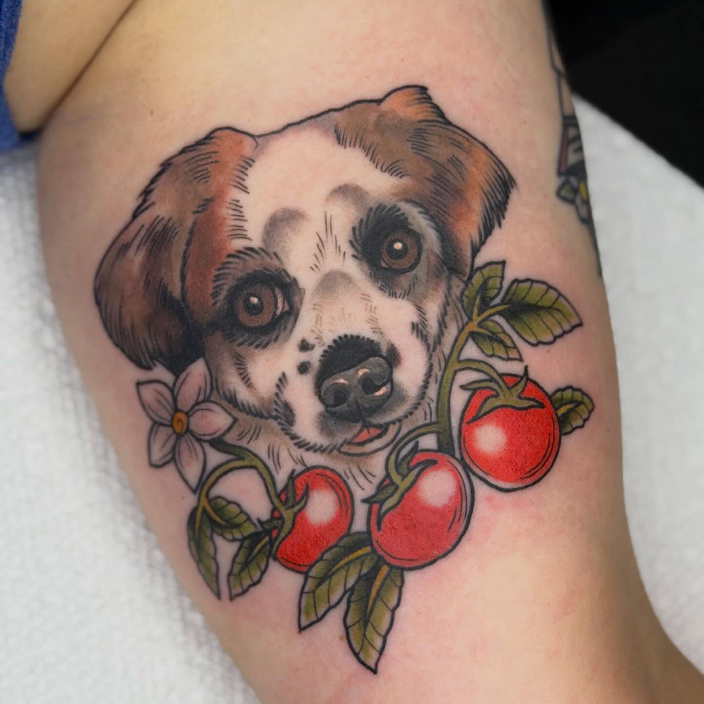 Dog with tomatoes realism tattoo on the forearm by Jenna Szerszen-Wynn ๐