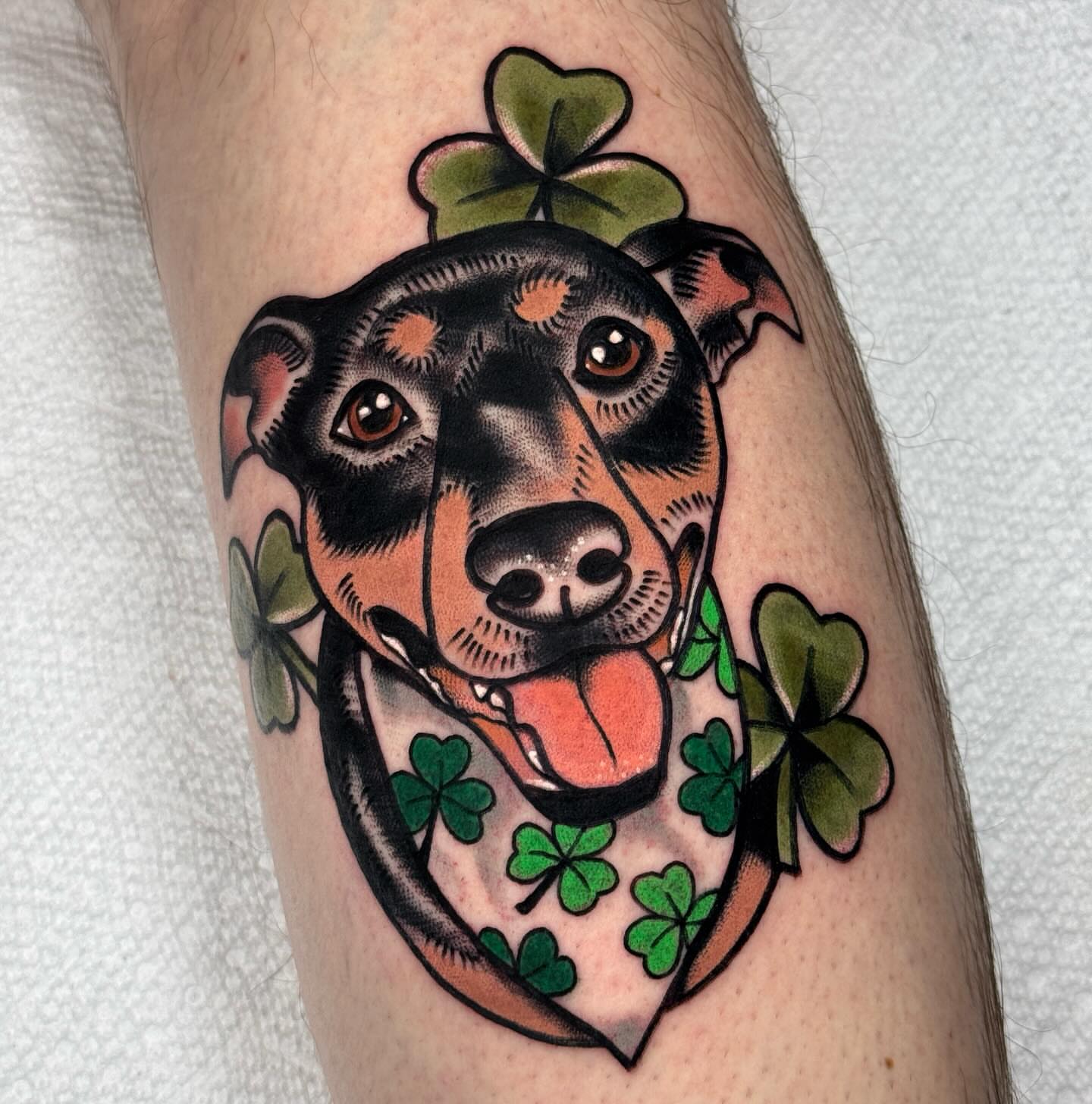 Dog with clovers American traditional tattoo on the forearm by Jess Baker