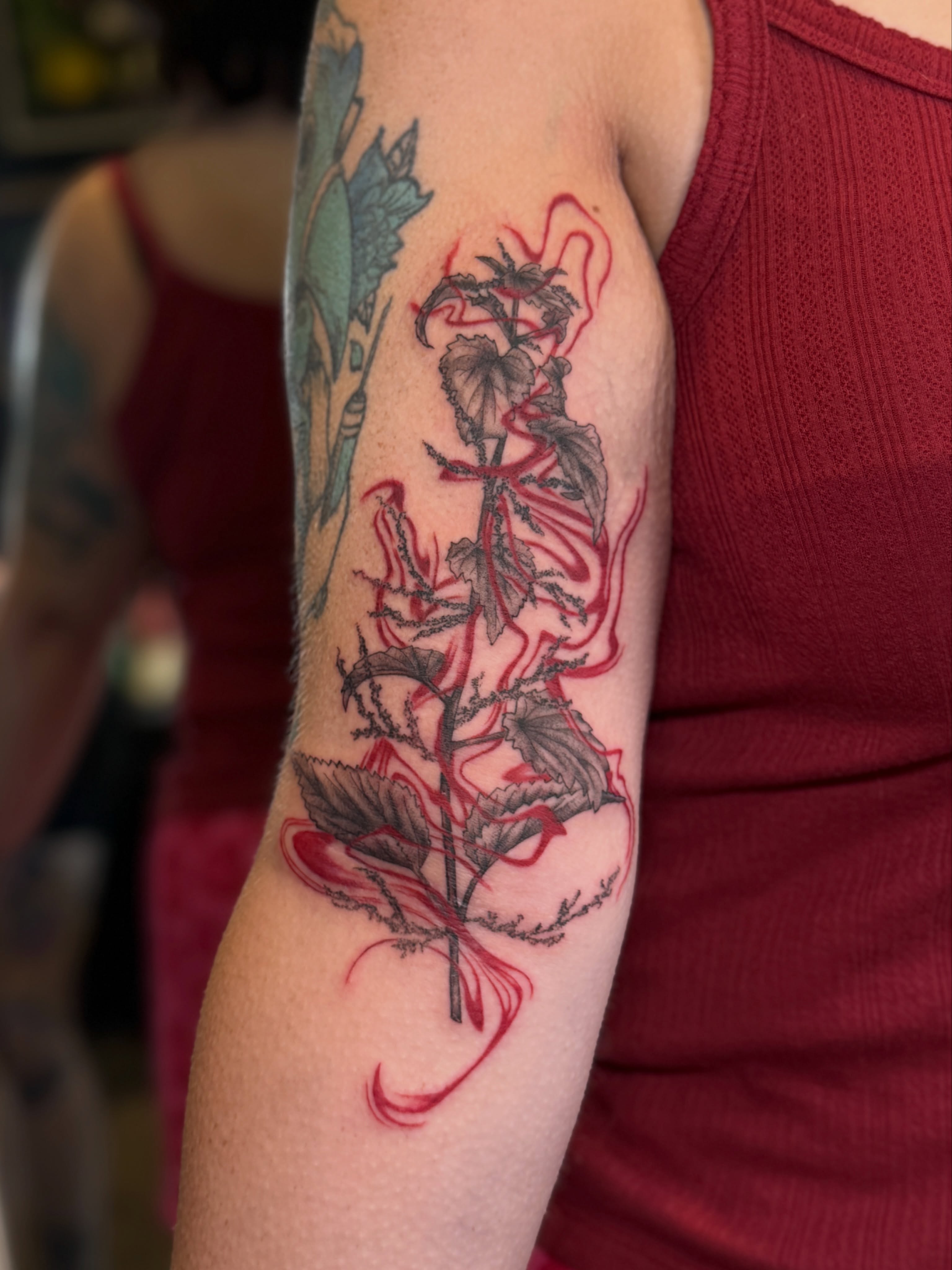 Plant black and grey tattoo on the forearm by Sydney