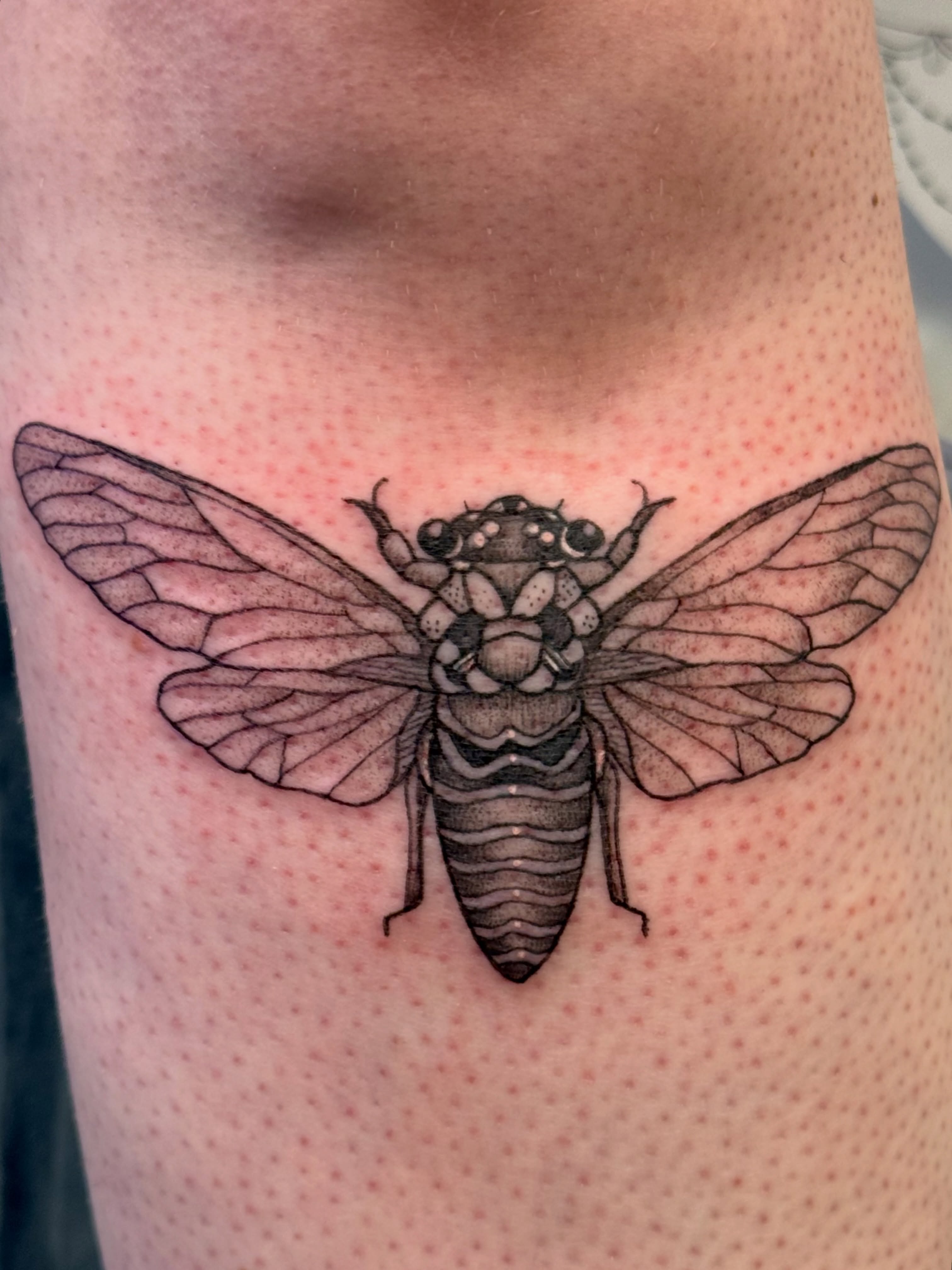 Tattoo by @alexxtattoos — dotwork