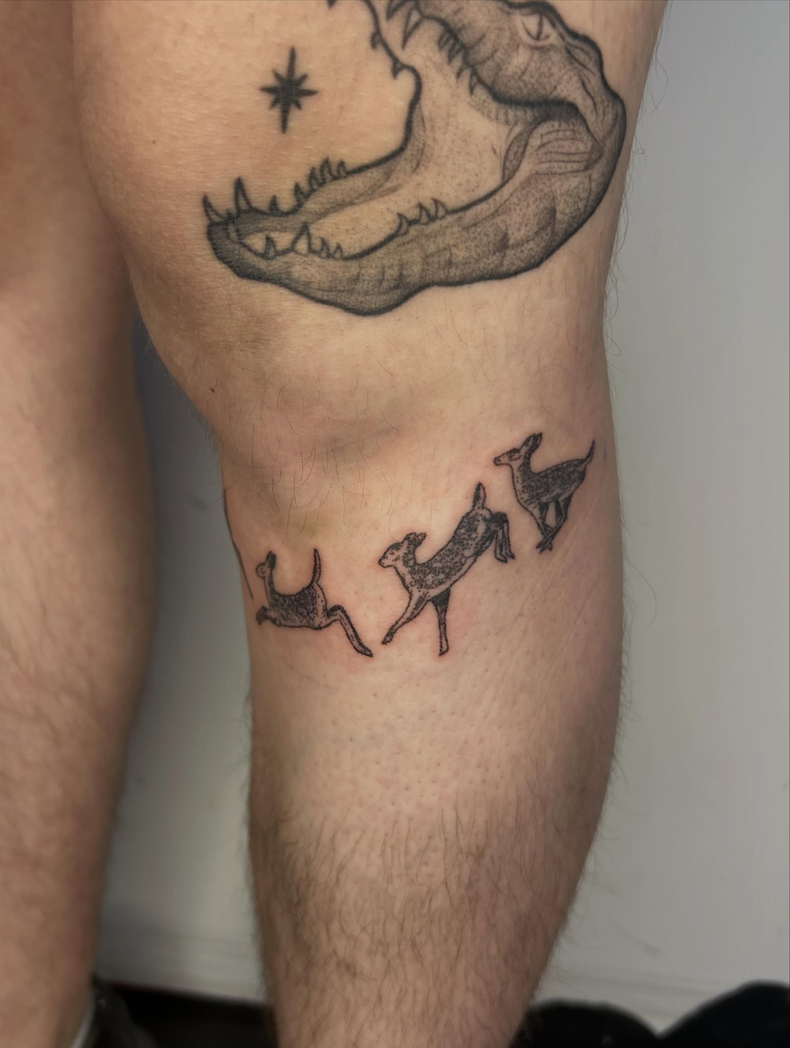 Deer black and grey tattoo on the forearm by ˙⋆✮⋆˙‧₊˚✧ sophie ✧˚₊‧˙⋆✮⋆˙