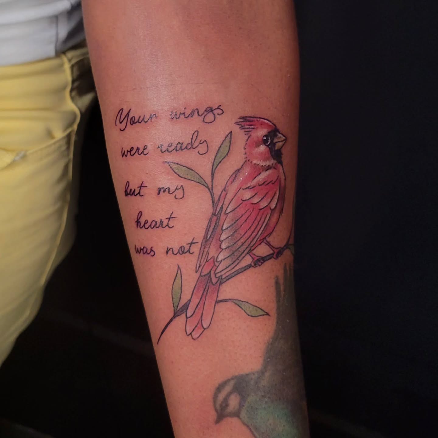 Cardinal bird watercolor tattoo on the forearm by Sarah Alba