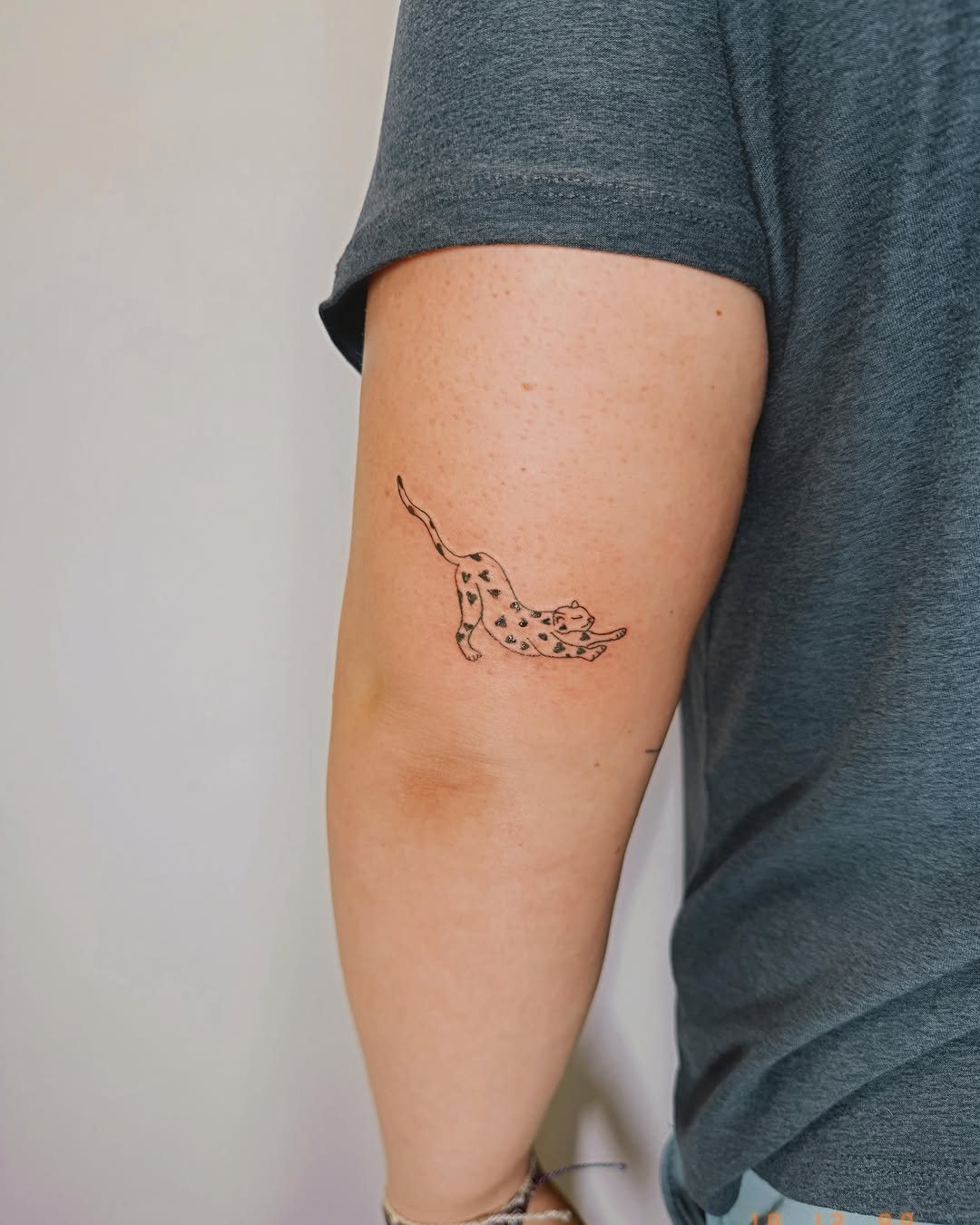 Cat trash polka tattoo on the forearm by Ashlee Burkey