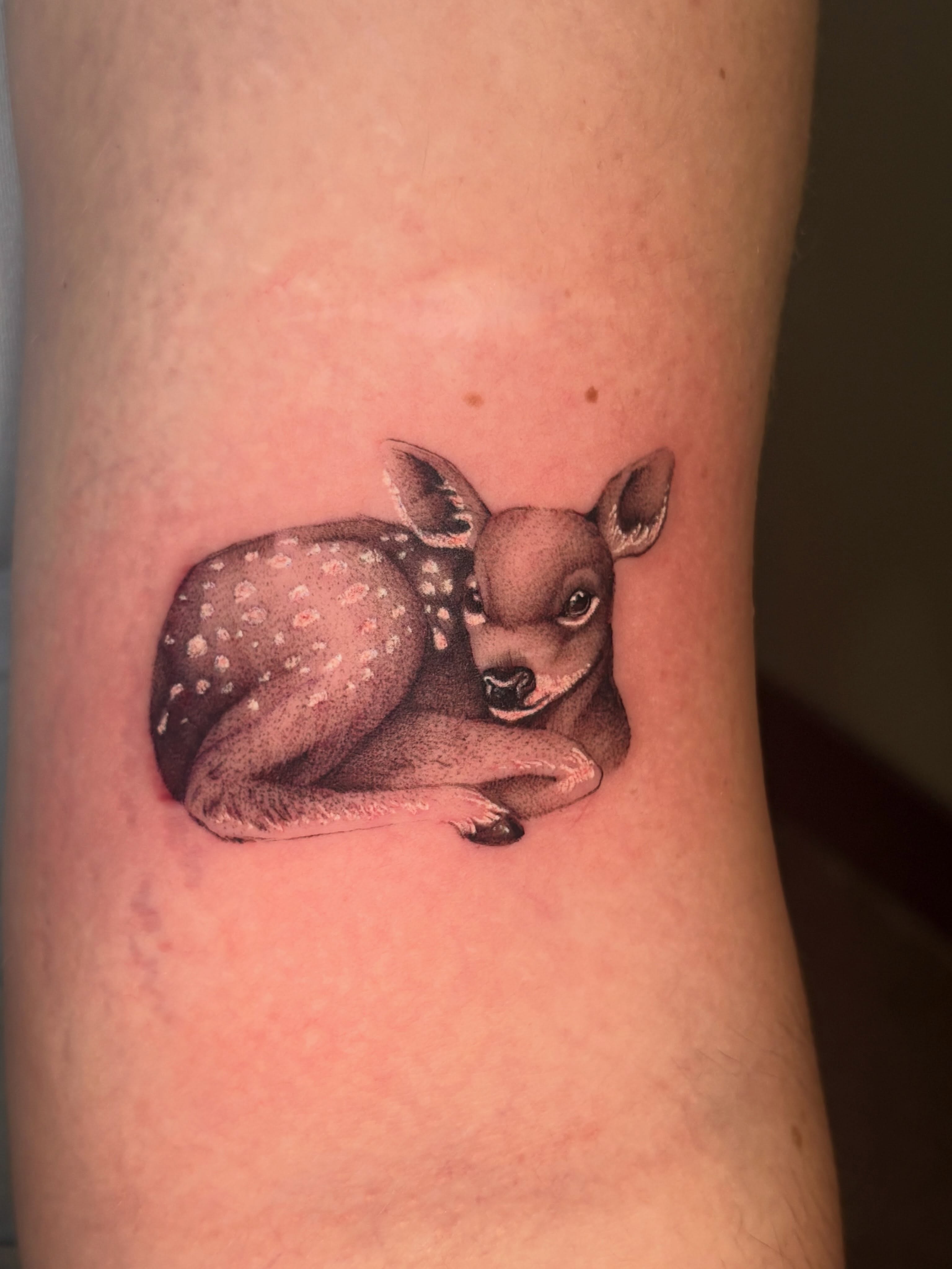 Deer fawn realism tattoo on the forearm by Eddie Wolfe