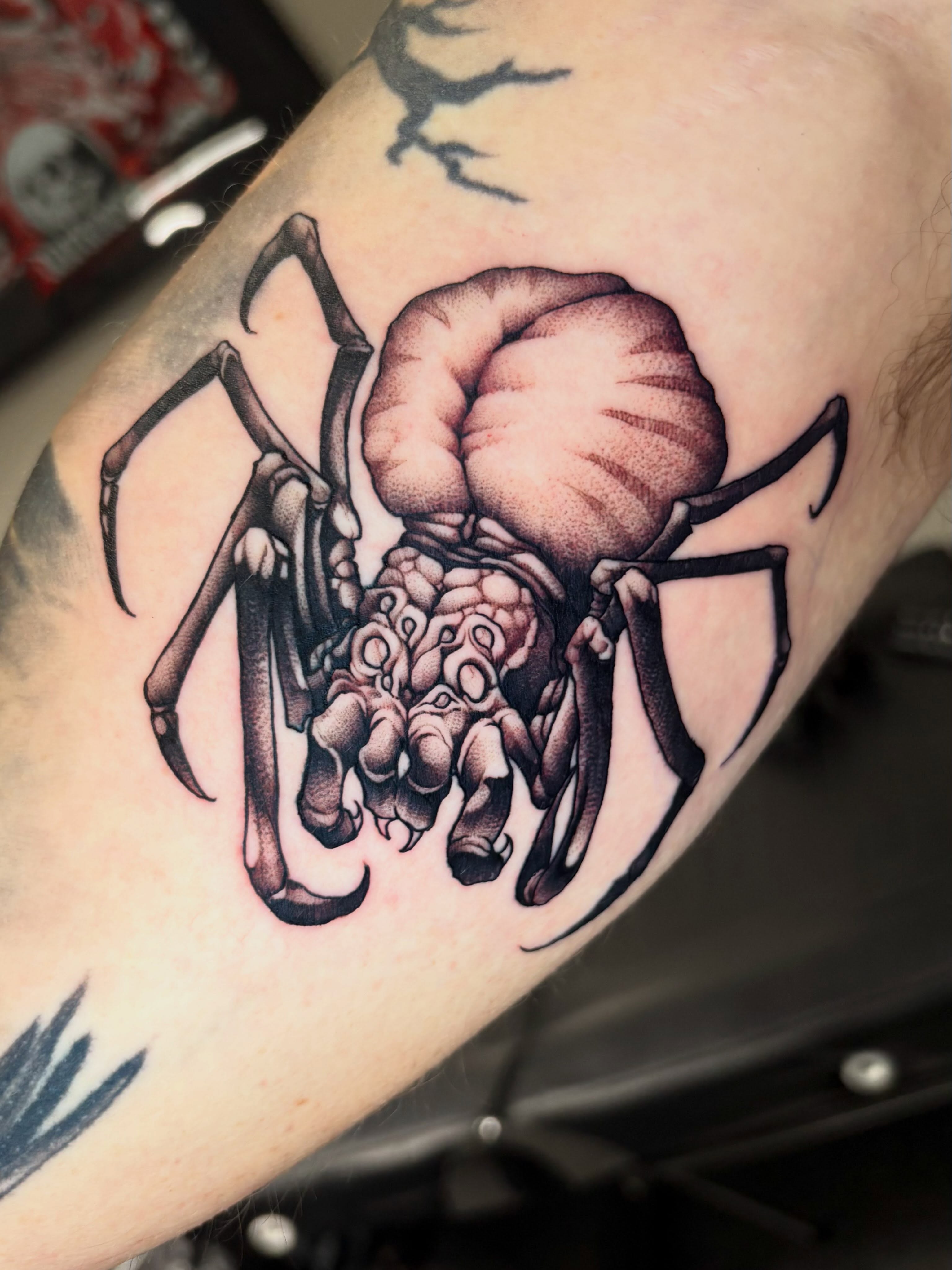 Spider realism tattoo on the forearm by Eddie Wolfe