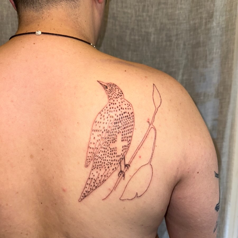 Bird dotwork tattoo on the back by kate