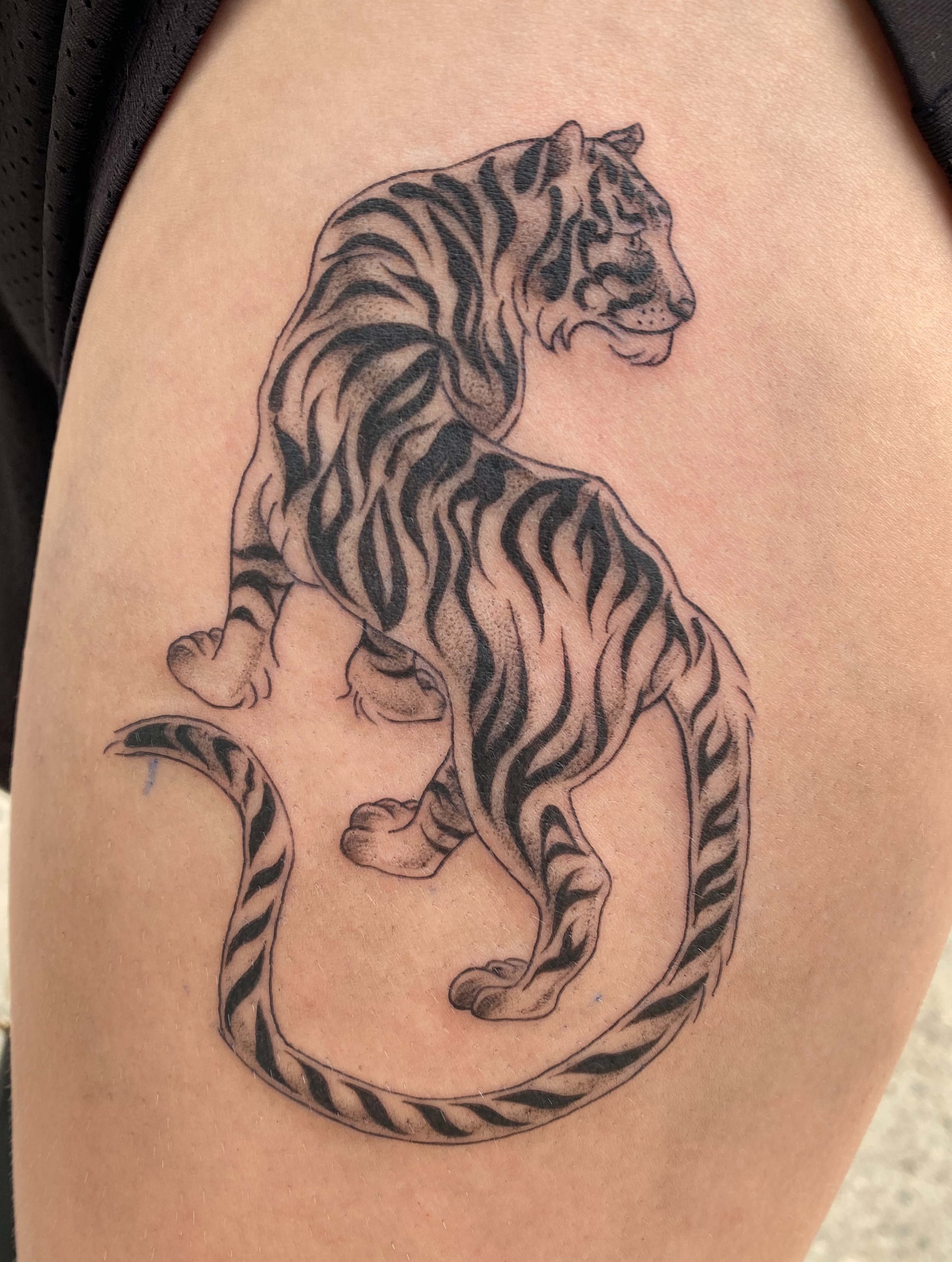 Tiger black and grey tattoo on the thigh by Mack ๐ Utah Tattoos