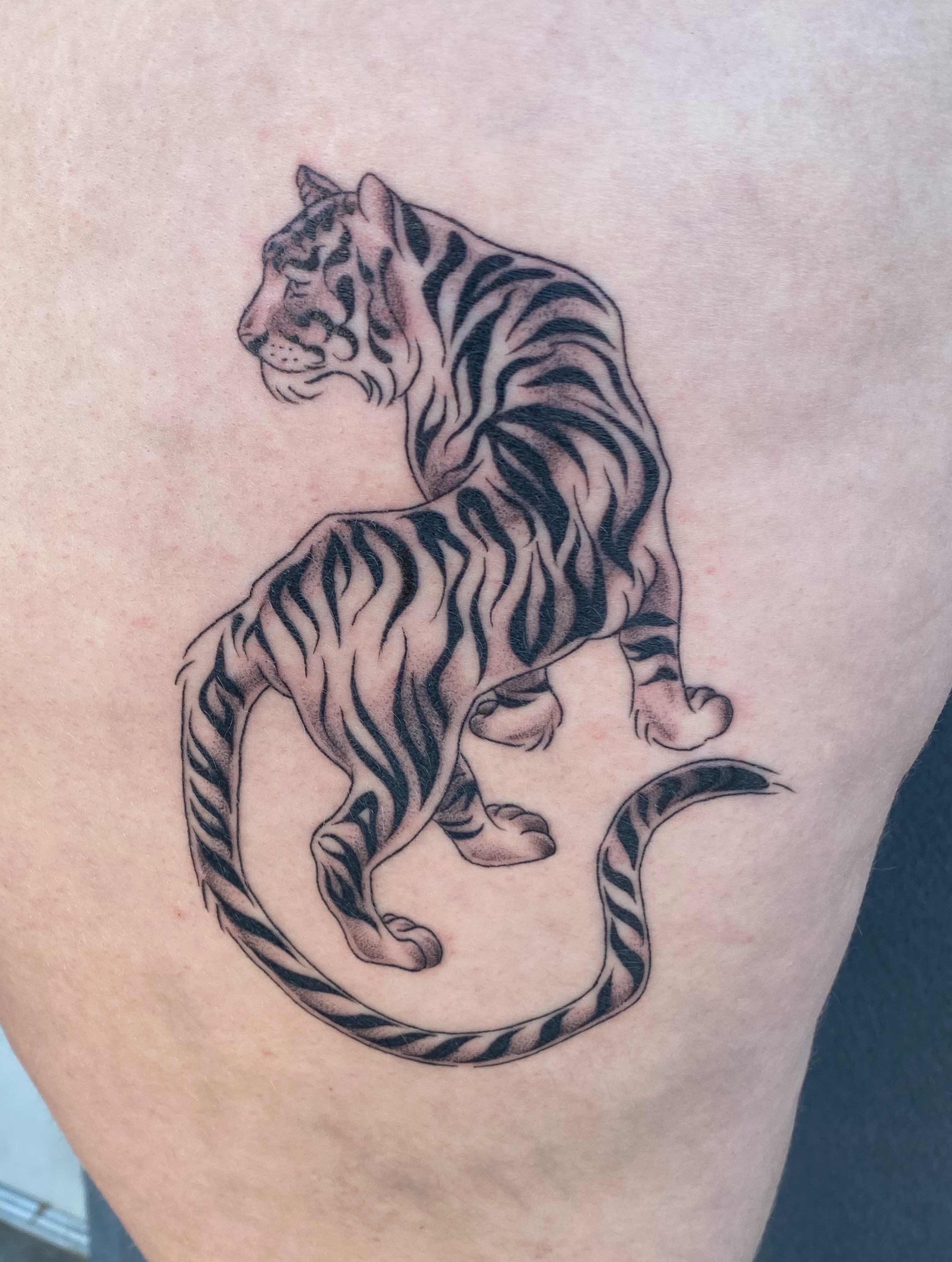 Tiger black and grey tattoo on the thigh by Mack ๐ Utah Tattoos