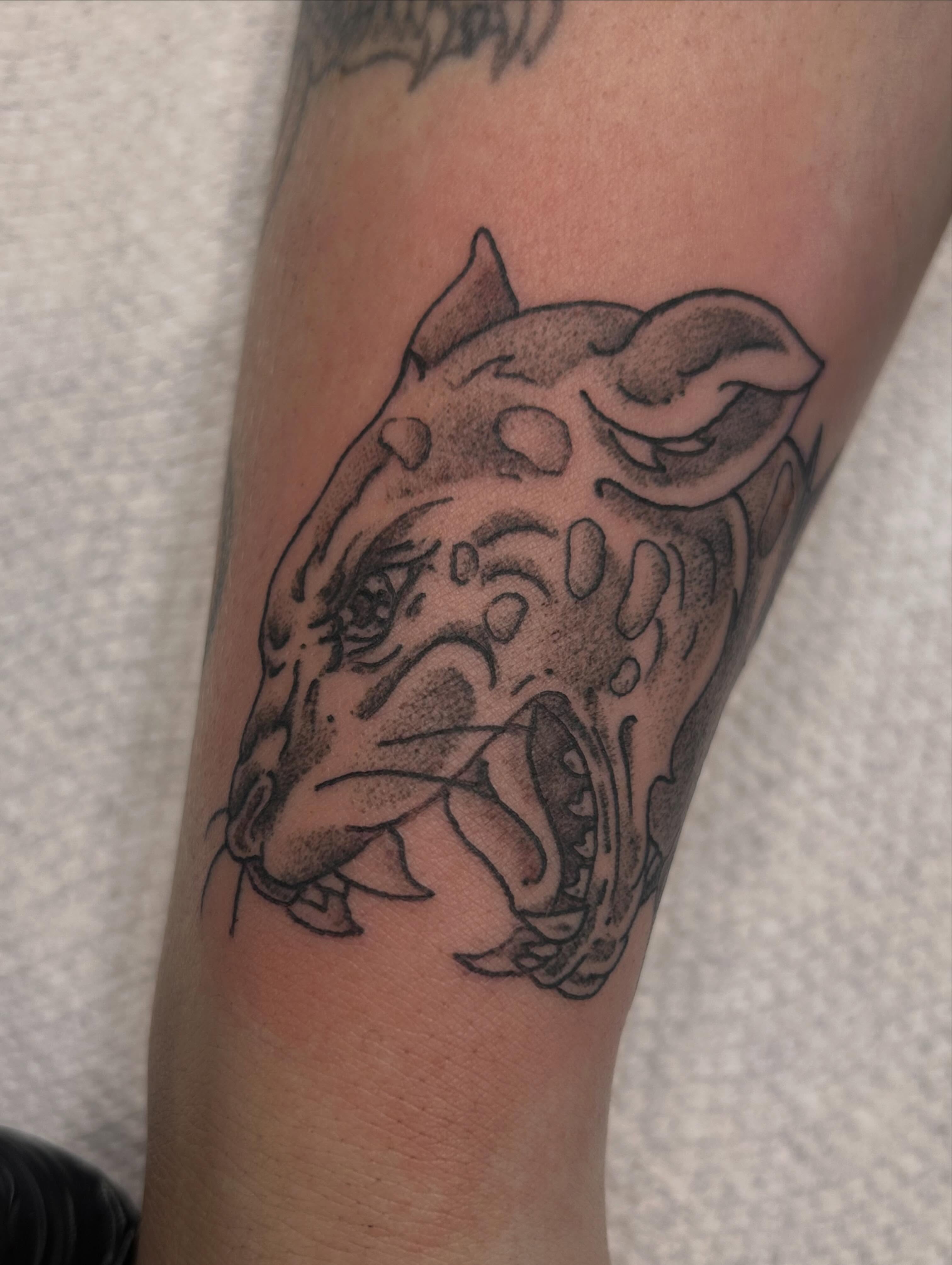 Bulldog dotwork tattoo on the forearm by Reilley Earles