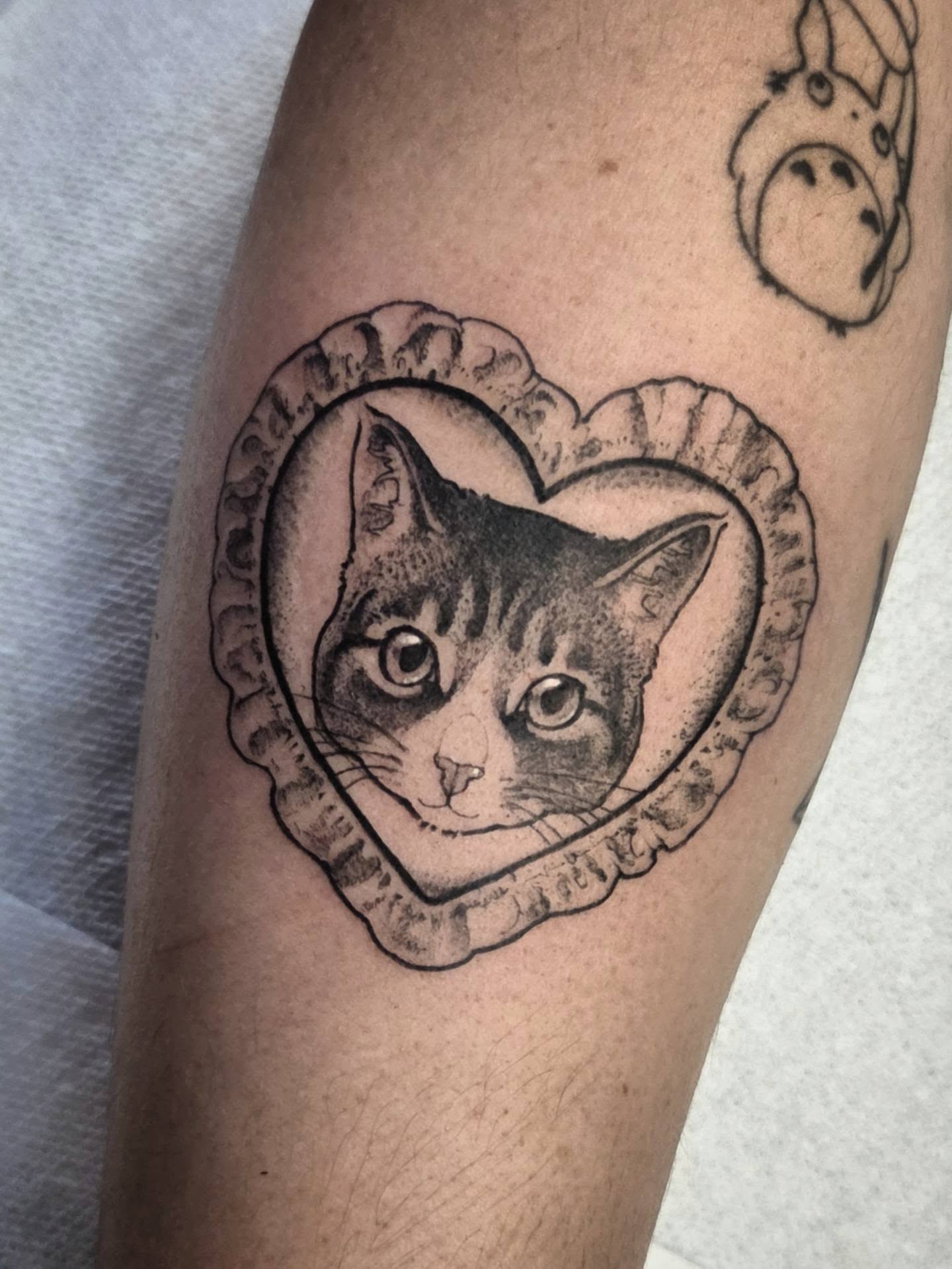 Cat realism tattoo on the forearm by Luca