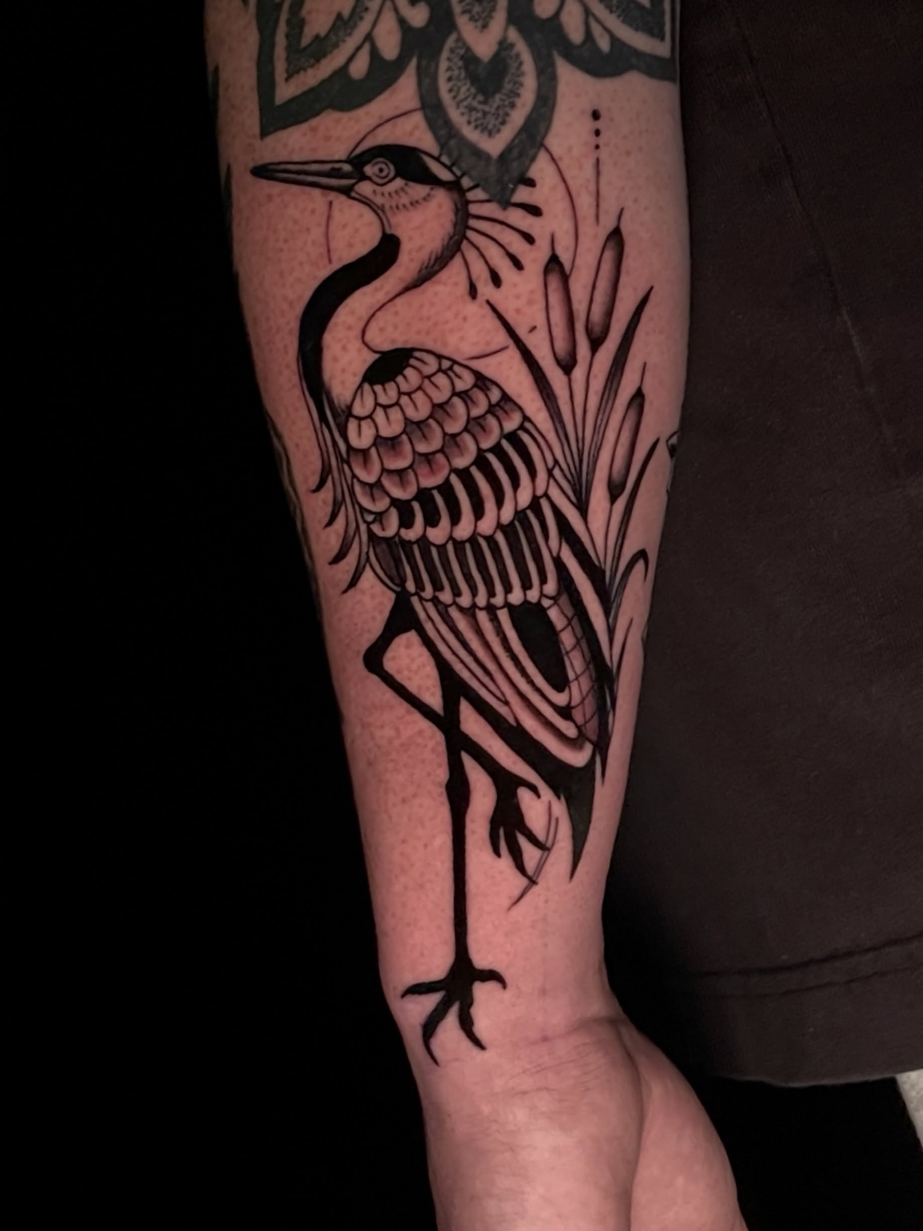 Heron black and grey tattoo on the forearm by Austin Clark