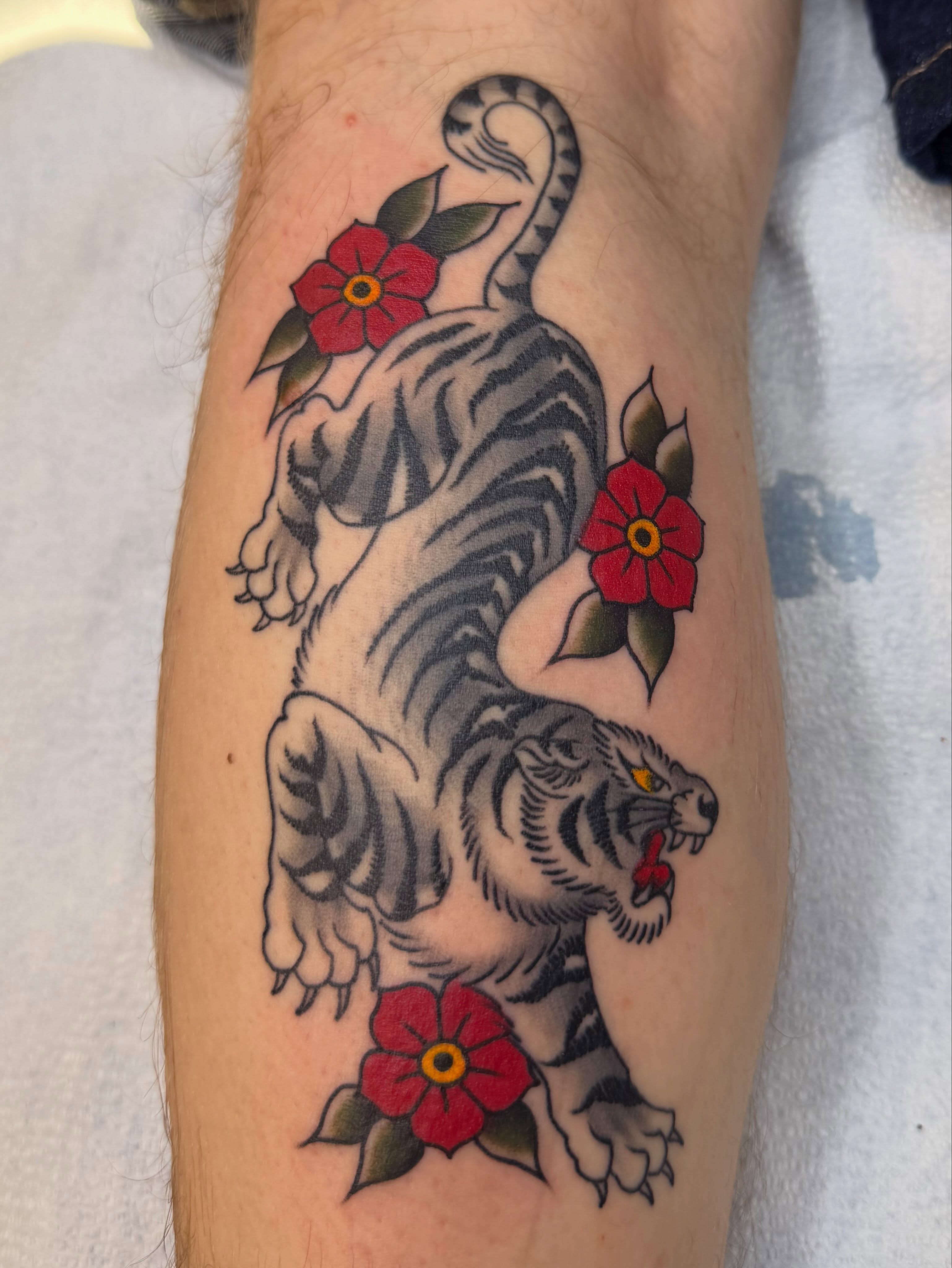 Tiger and flowers American traditional tattoo on the forearm by Thomas Cook