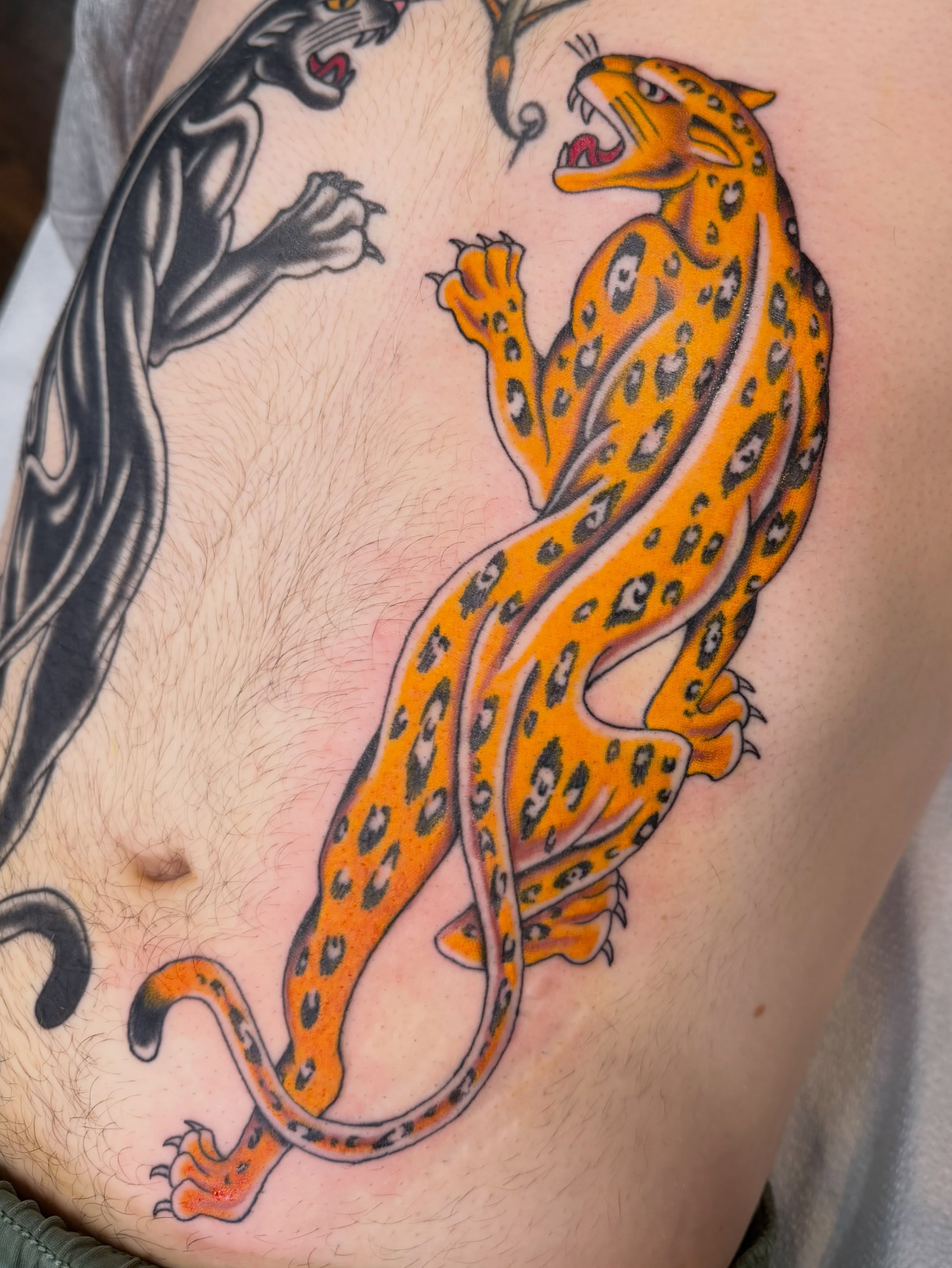 Jaguar and panther American traditional tattoo on the thigh by Thomas Cook