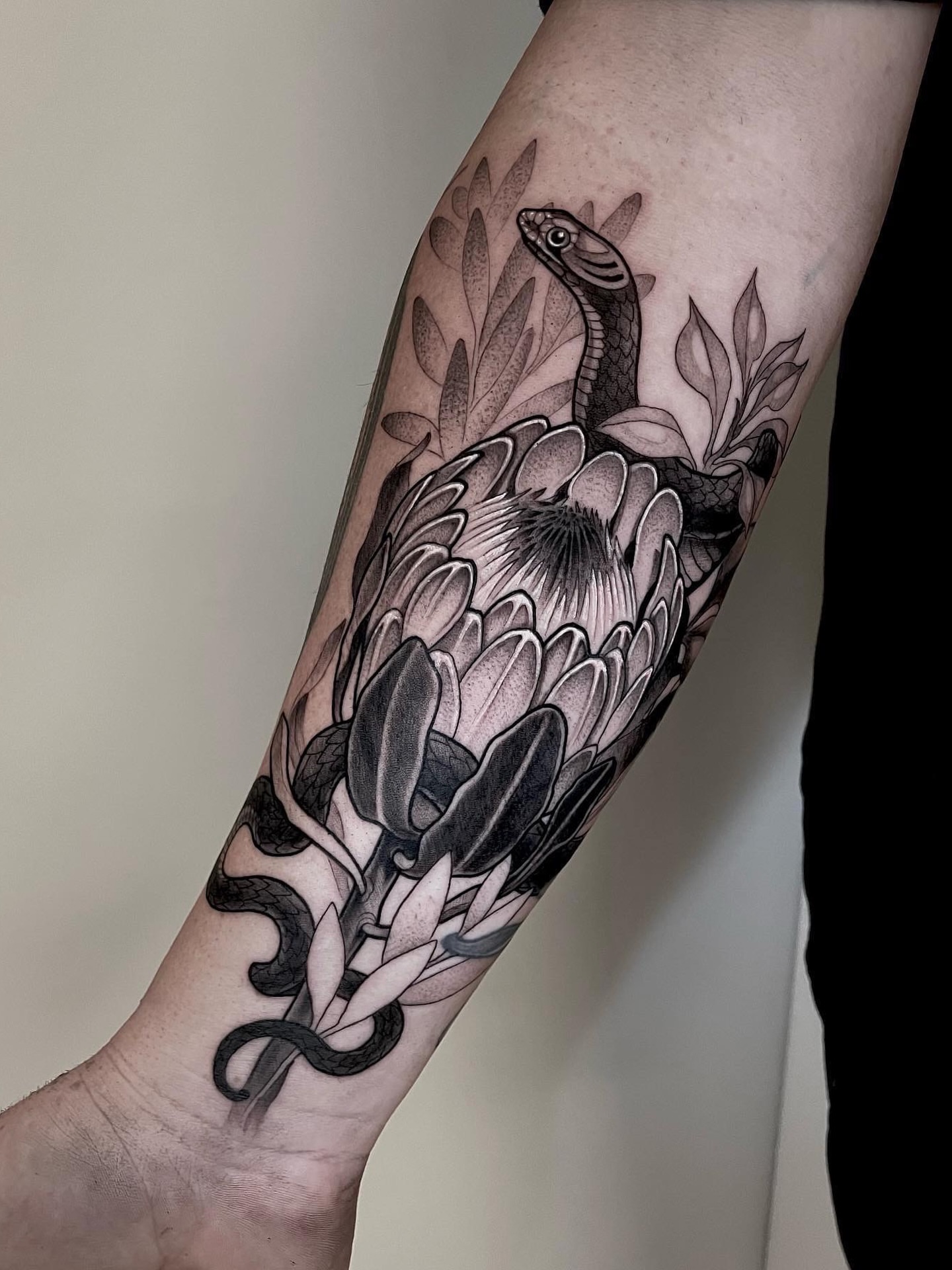 Snake and protea realism tattoo on the forearm by Michelle Carlton