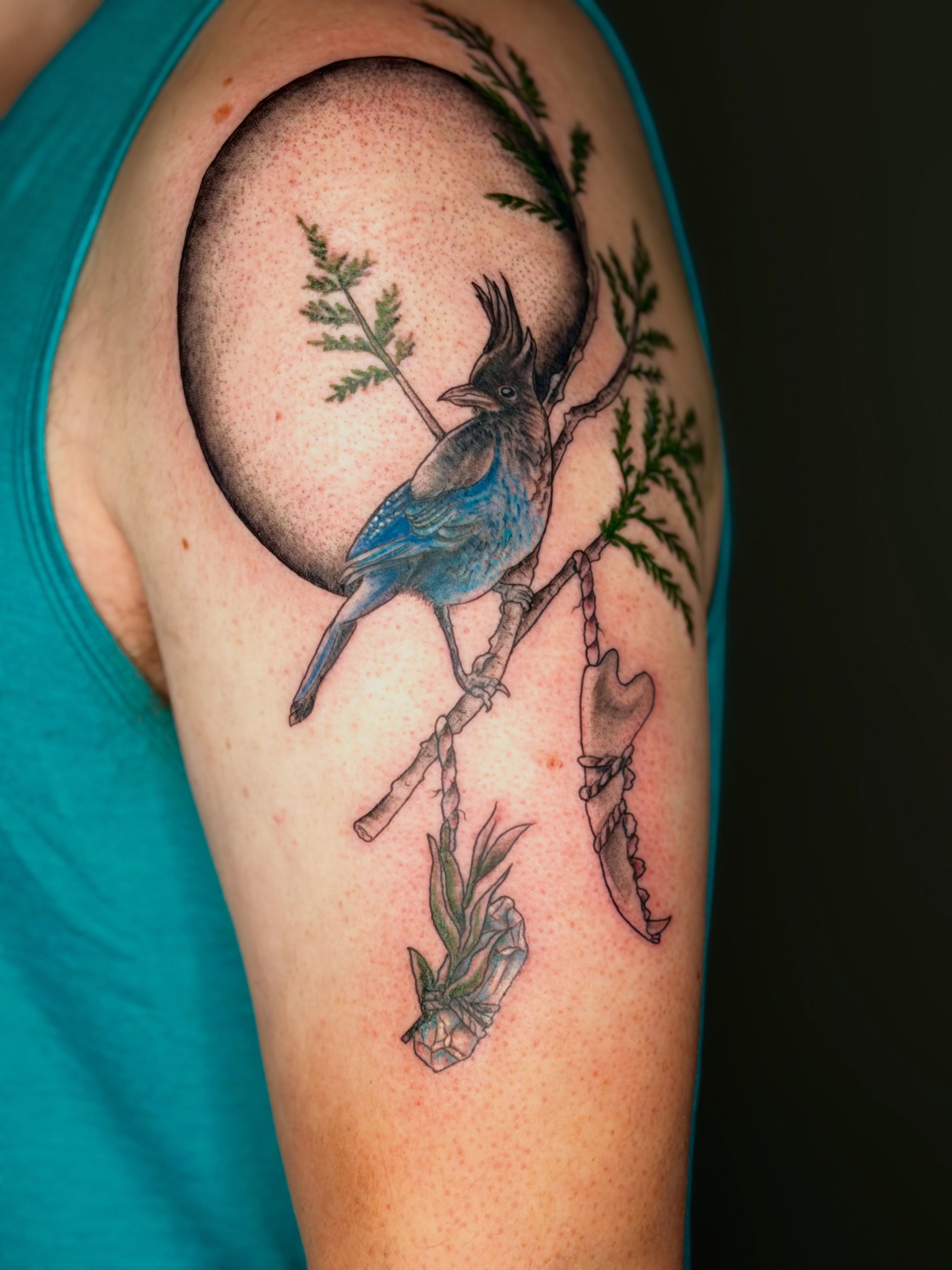 Blue jay realism tattoo on the shoulder by ⋆༺⋆˖⁺‧₊  ☽  ⛦⃝  ☾  ₊‧⁺˖⋆༻⋆𝔄𝔩𝔬𝔫𝔡𝔯𝔞  🌾