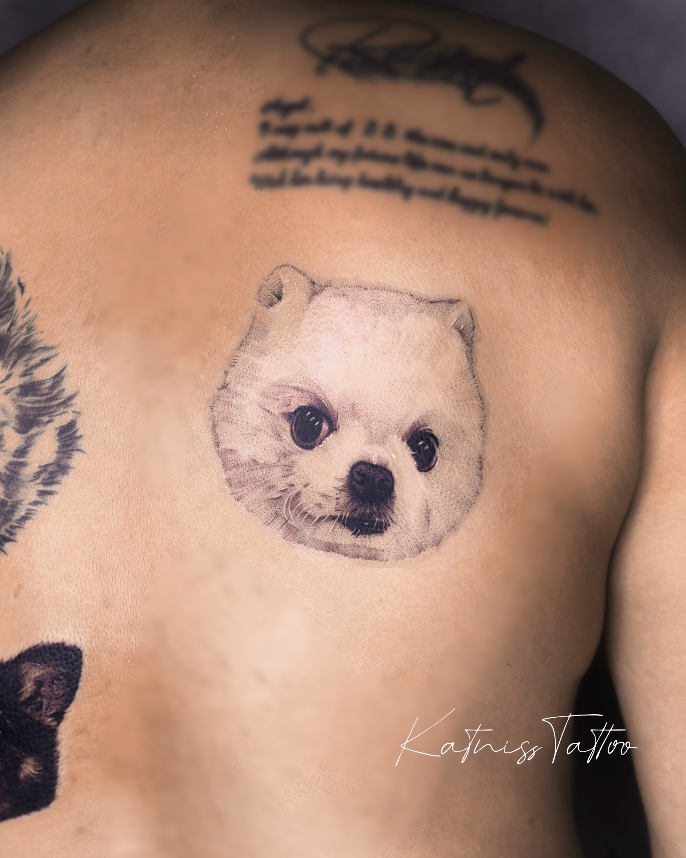 Dog realism tattoo on the back by 𝙆𝙖𝙩𝙣𝙞𝙨𝙨