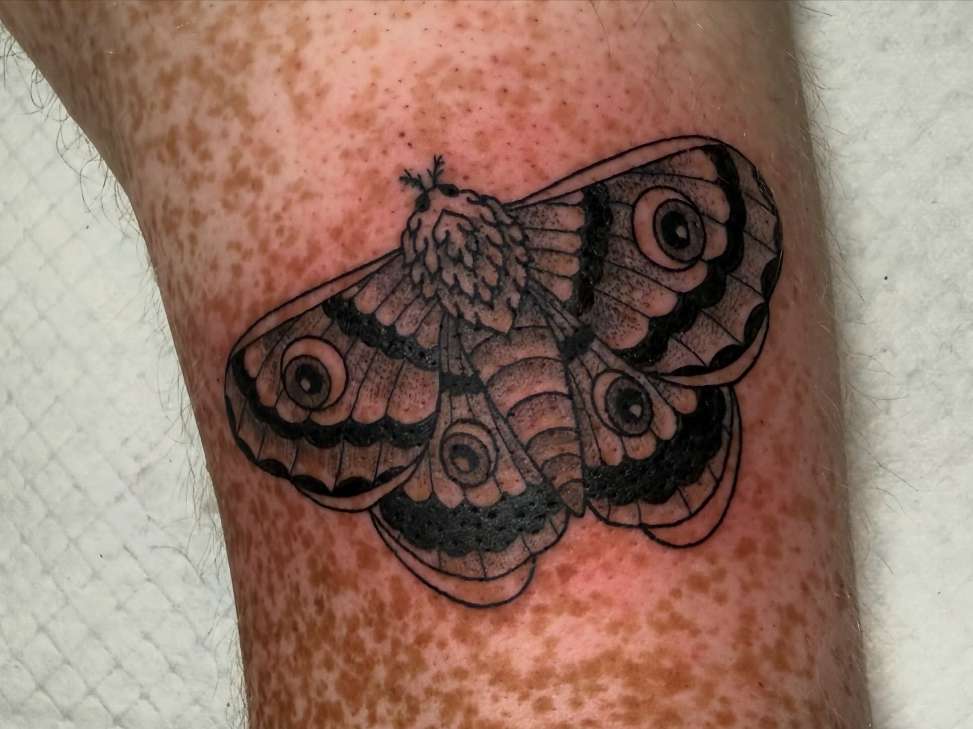 Butterfly dotwork tattoo on the forearm by zoie rozay hannah
