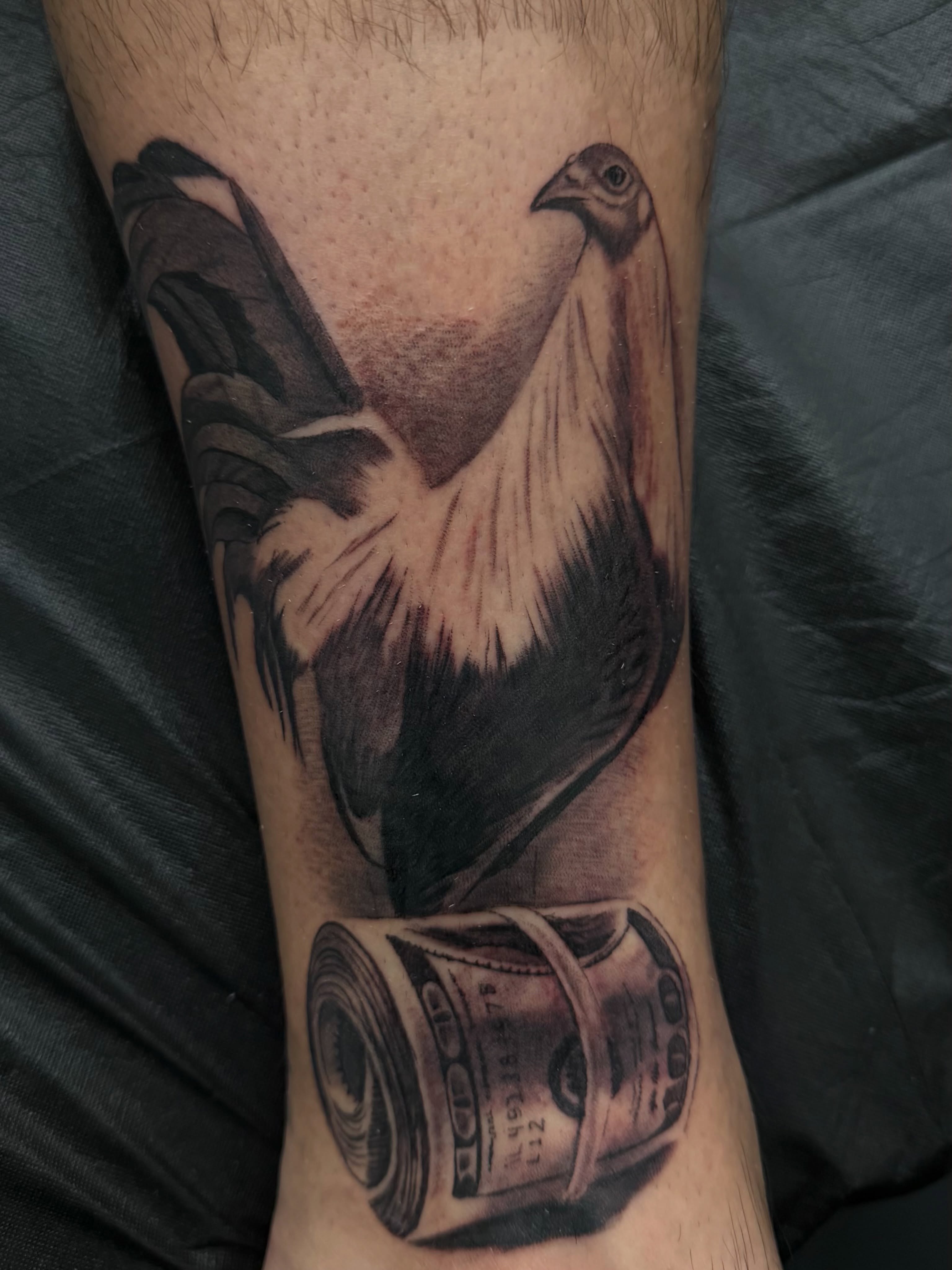 Pigeon and money realism tattoo on the forearm by Vic