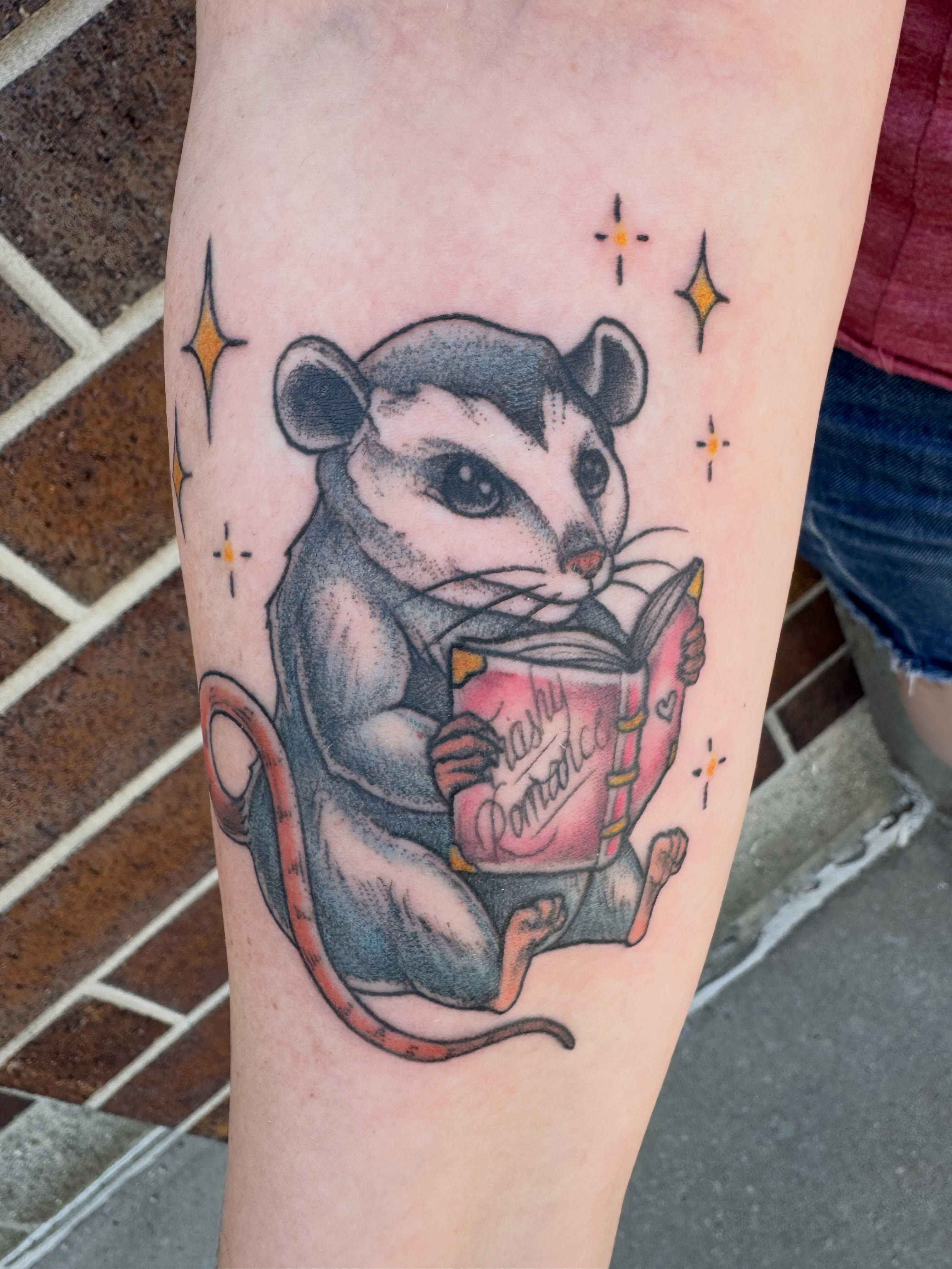 Possum reading book American traditional tattoo on the forearm by Nikki Powills